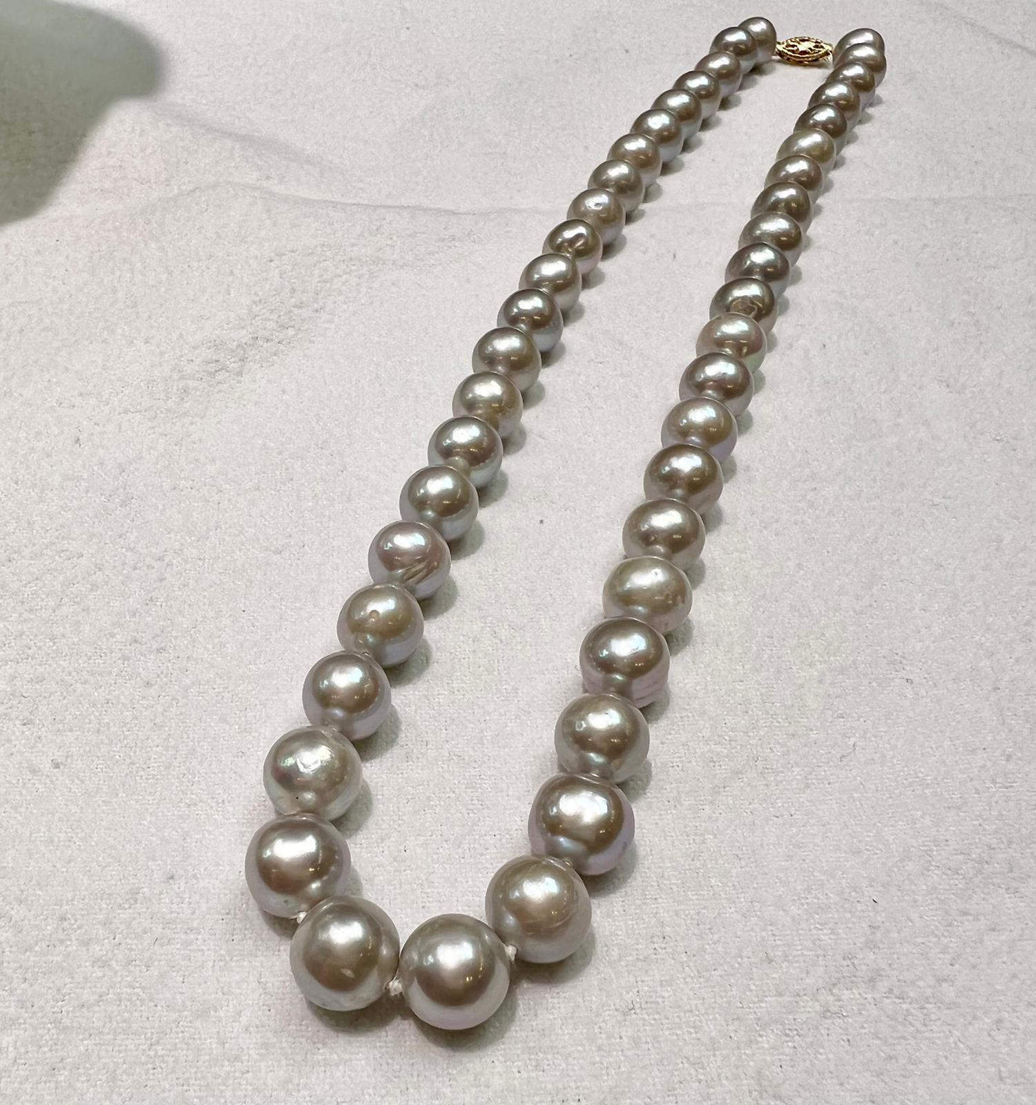 9.6mm 18.5 inches Akoya pearls with 14k yellow gold fish hook
