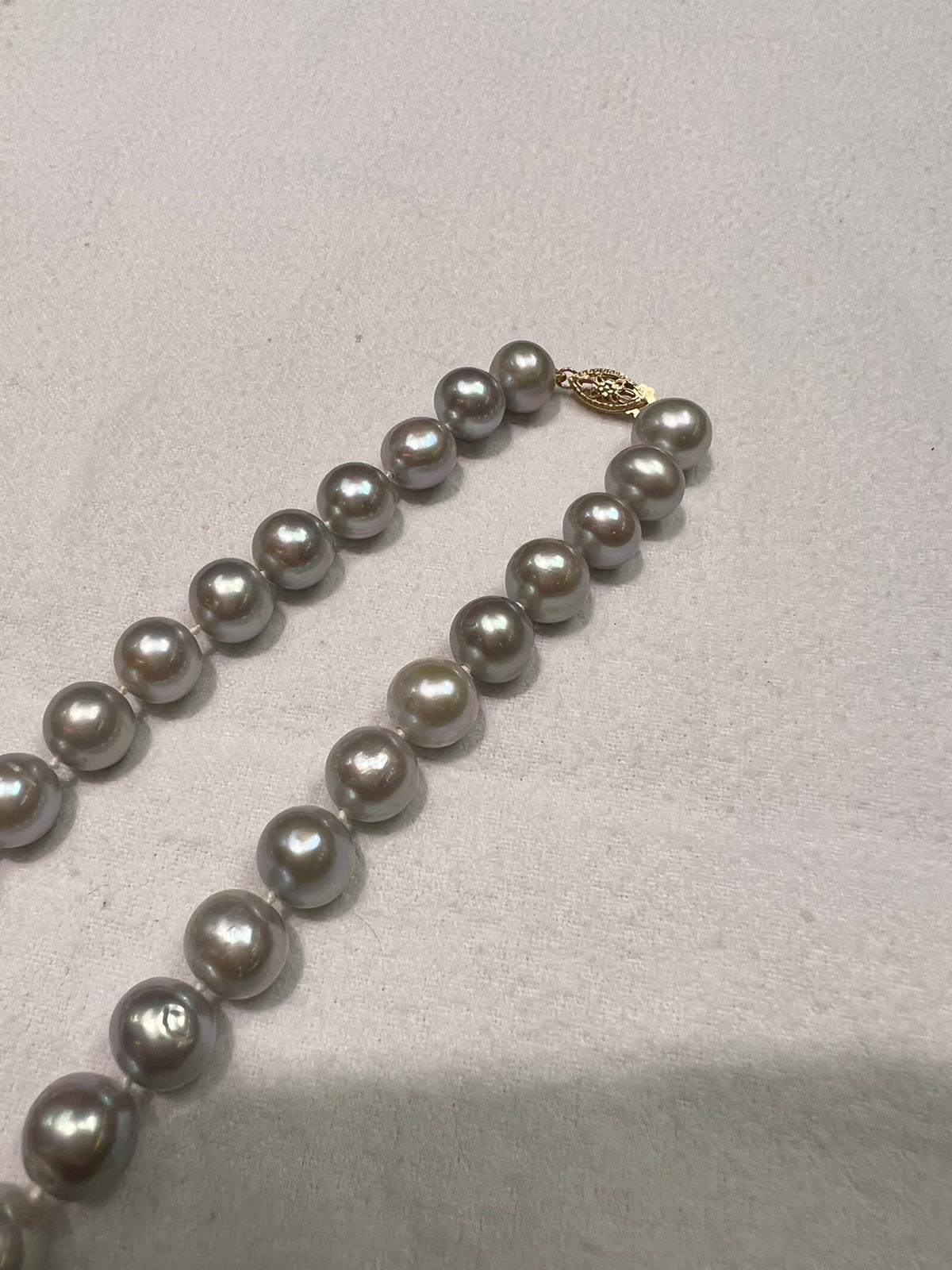 Women's Akoya Pearls with 14k Yellow Gold Fish Hook For Sale