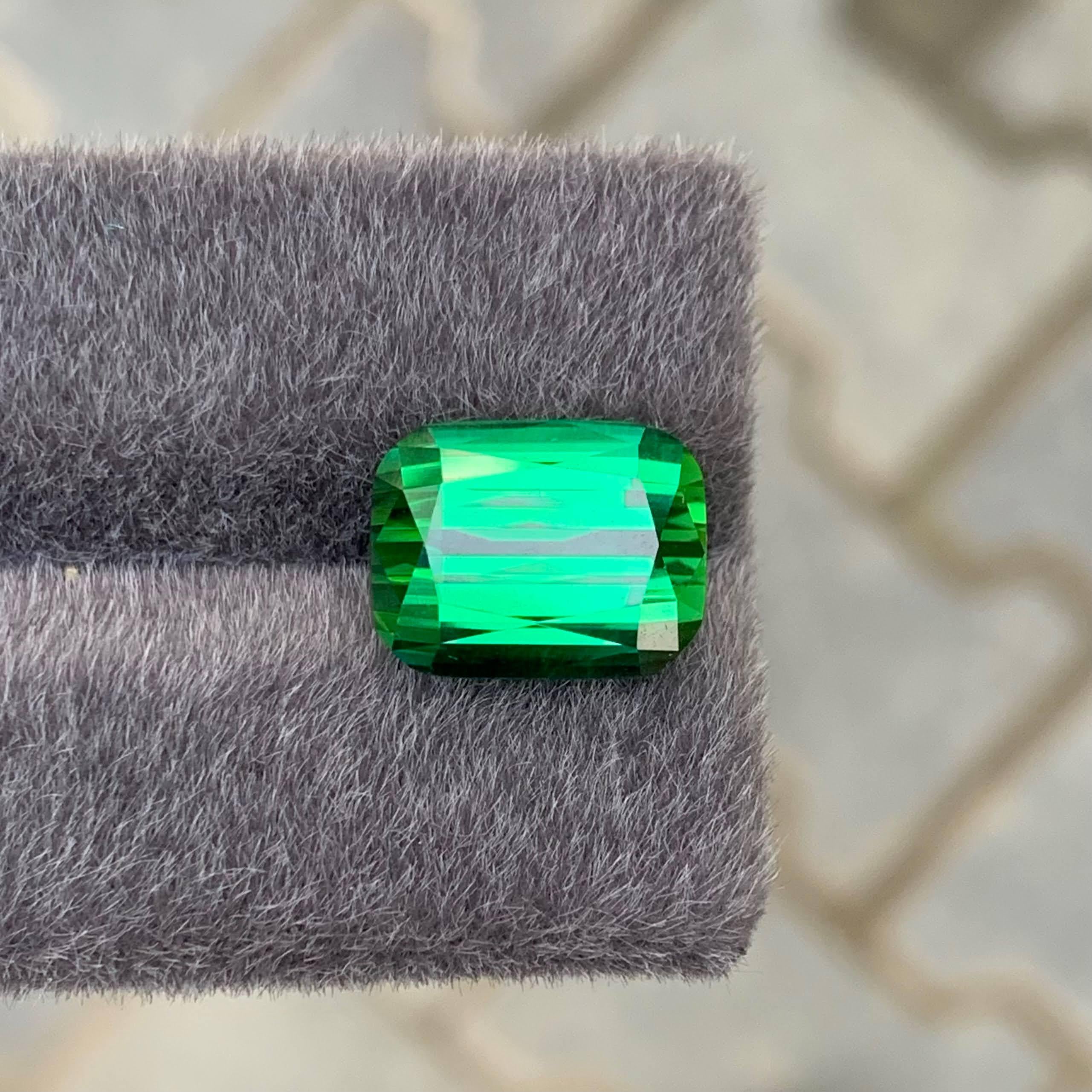 Peso 9,75 carati 
Dimensioni 13,0x10,1x8,5 mm
Trattamento Nessuno 
Origine afgana 
Clarity Loup Clean 
Forma taglio cuscino 




Questa tormalina verde di qualità fine sfusa da 9,75 carati presenta una tonalità verde vibrante e riccamente satura,
