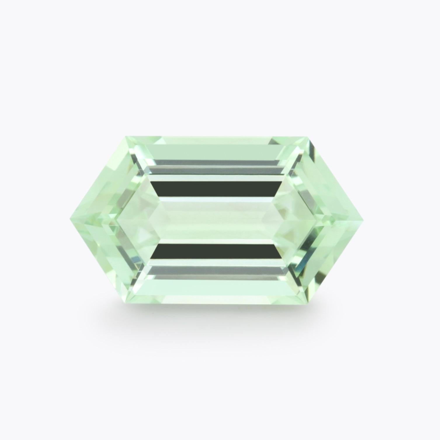 Taille hexagone Tourmaline verte hexagonale de 9,78 carats : pierre rare pour un chef-d'œuvre de bijouterie personnalisé en vente