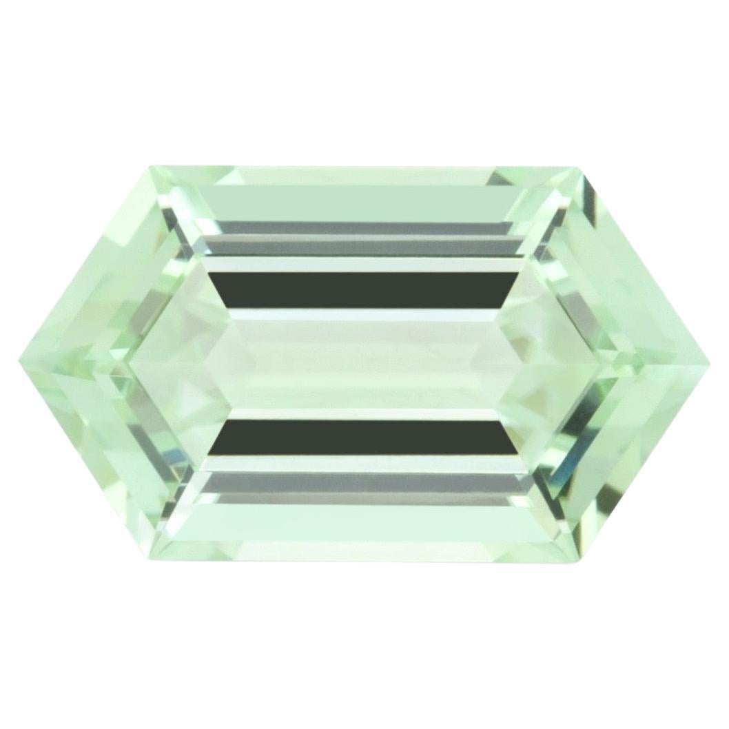 9.78-Carat Hexagon Green Tourmaline: Rare Gem for Custom Jewelry Masterpiece