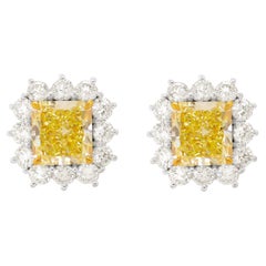 Diana M. 9,79 Karat gelbe Diamant-Ohrstecker