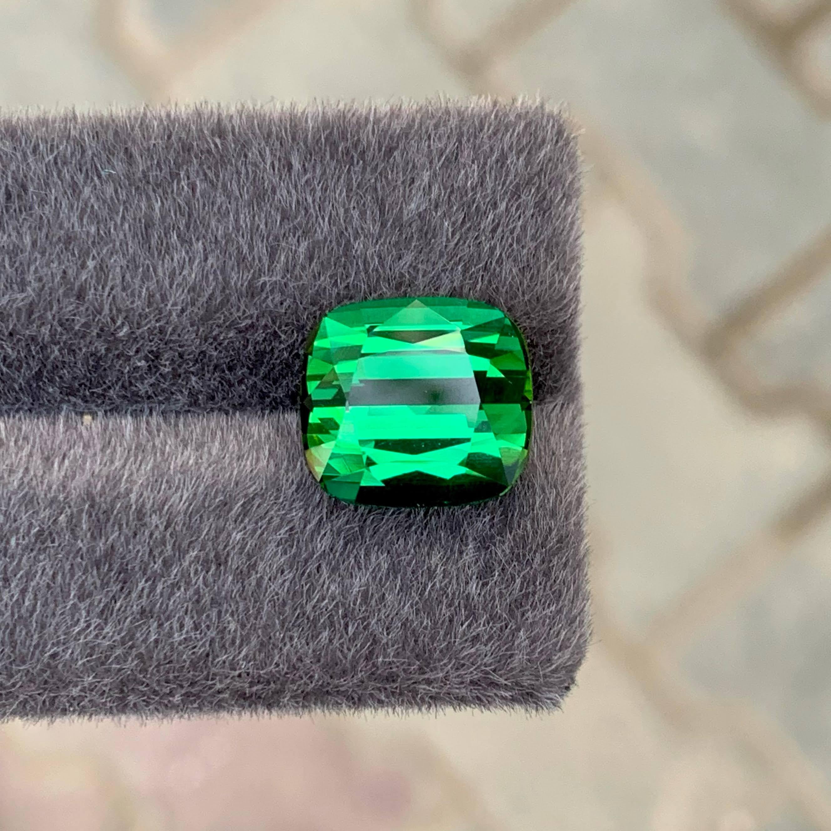 Peso 9,80 carati 
Dimensioni 12,4x11,3x8,6 mm
Trattamento Nessuno
Origine afgana 
Clarity Loup Clean 
Forma taglio cuscino 




Questa tormalina verde di qualità fine sfusa da 9,80 carati Nature emana una tonalità verde vivida e lussureggiante con