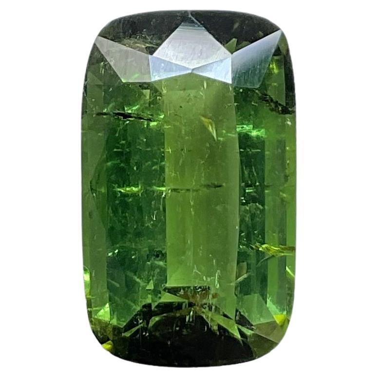 9.82 Carat Top Quality Green Tourmaline Cushion Cutstone For Jewelry Natural Gem