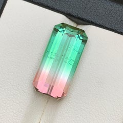 9,82 Karat Wassermelone Bicolor Natürlicher Turmalin Smaragd-Schliff Loser Edelstein
