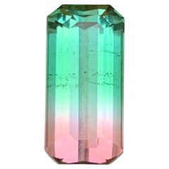 9,82 Karat Wassermelone Bicolor Natürlicher Turmalin Smaragd-Schliff Loser Edelstein