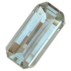 Superbe améthyste verte naturelle non sertie Prasiolite taille pixel de 9,90 carats