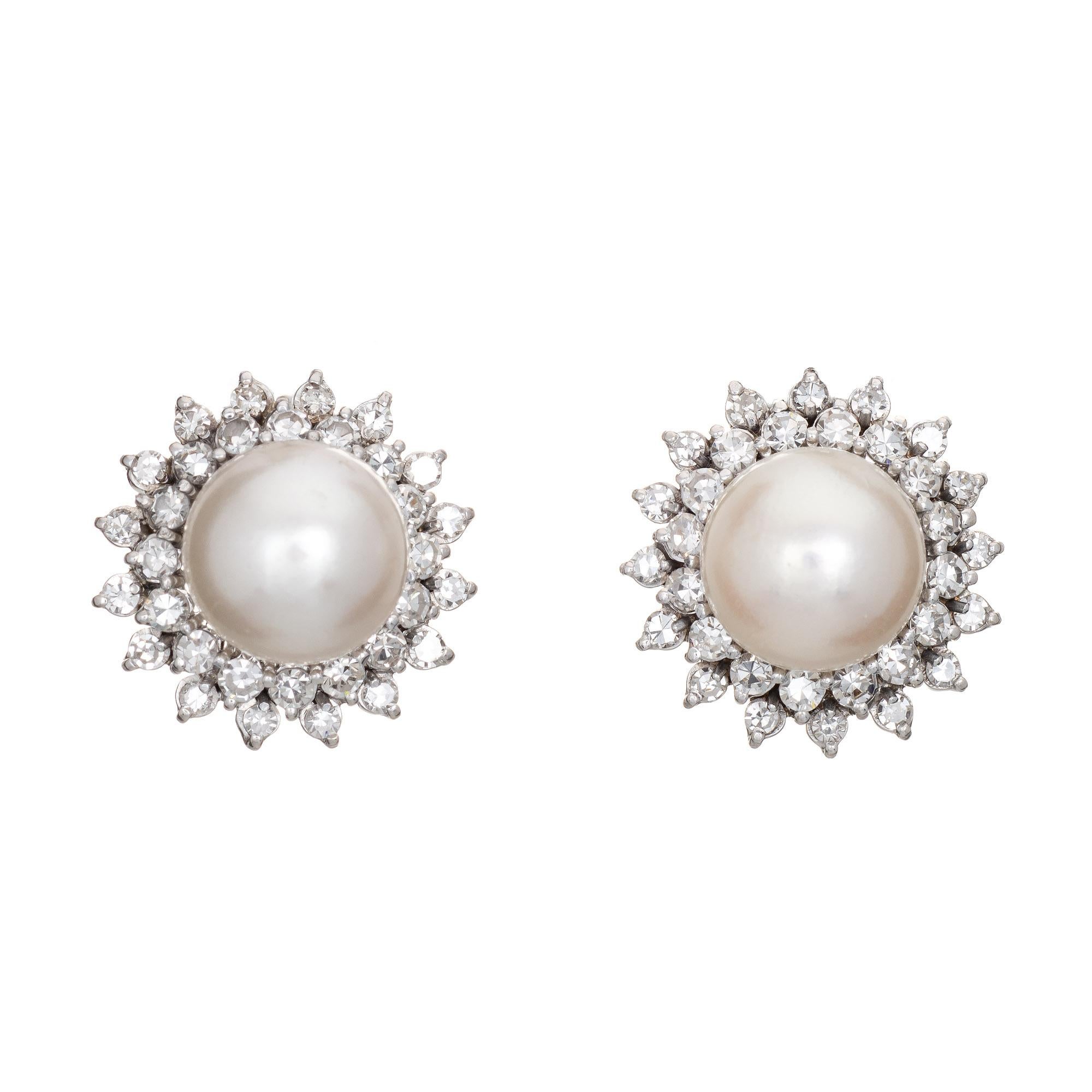 14k south sea pearl earring price -china -b2b -forum -blog -wikipedia -.cn -.gov -alibaba -taobao