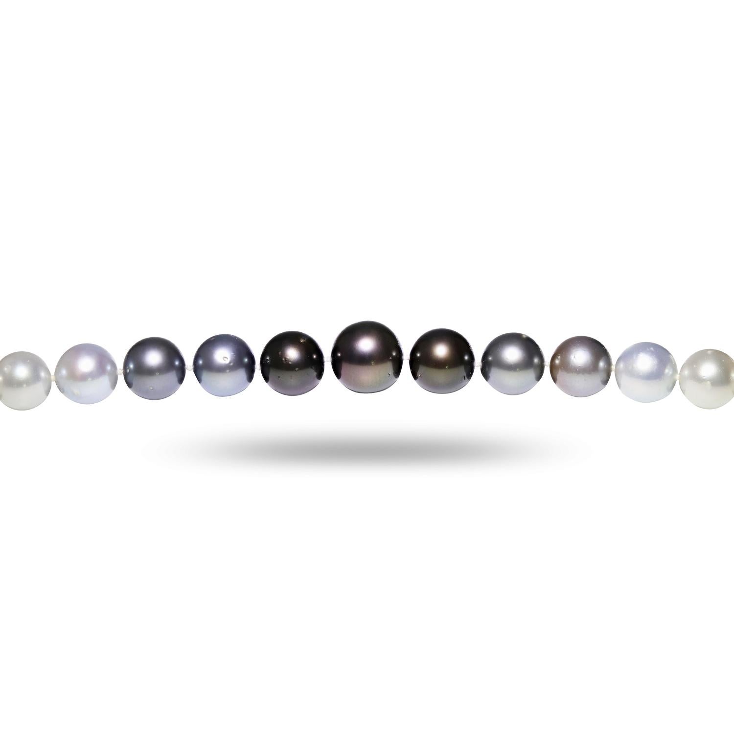 One graduated, single strand Cultured South Sea and Tahitian Pearl necklace. The strand has each pearl individually hand knotted and measures 18 inches in length. The necklace is finished with a scalloped 14K white gold plunger style bead clasp.