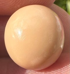 A 14.49ct Natural Saltwater Cassis Cornuta Pearl - Rare !