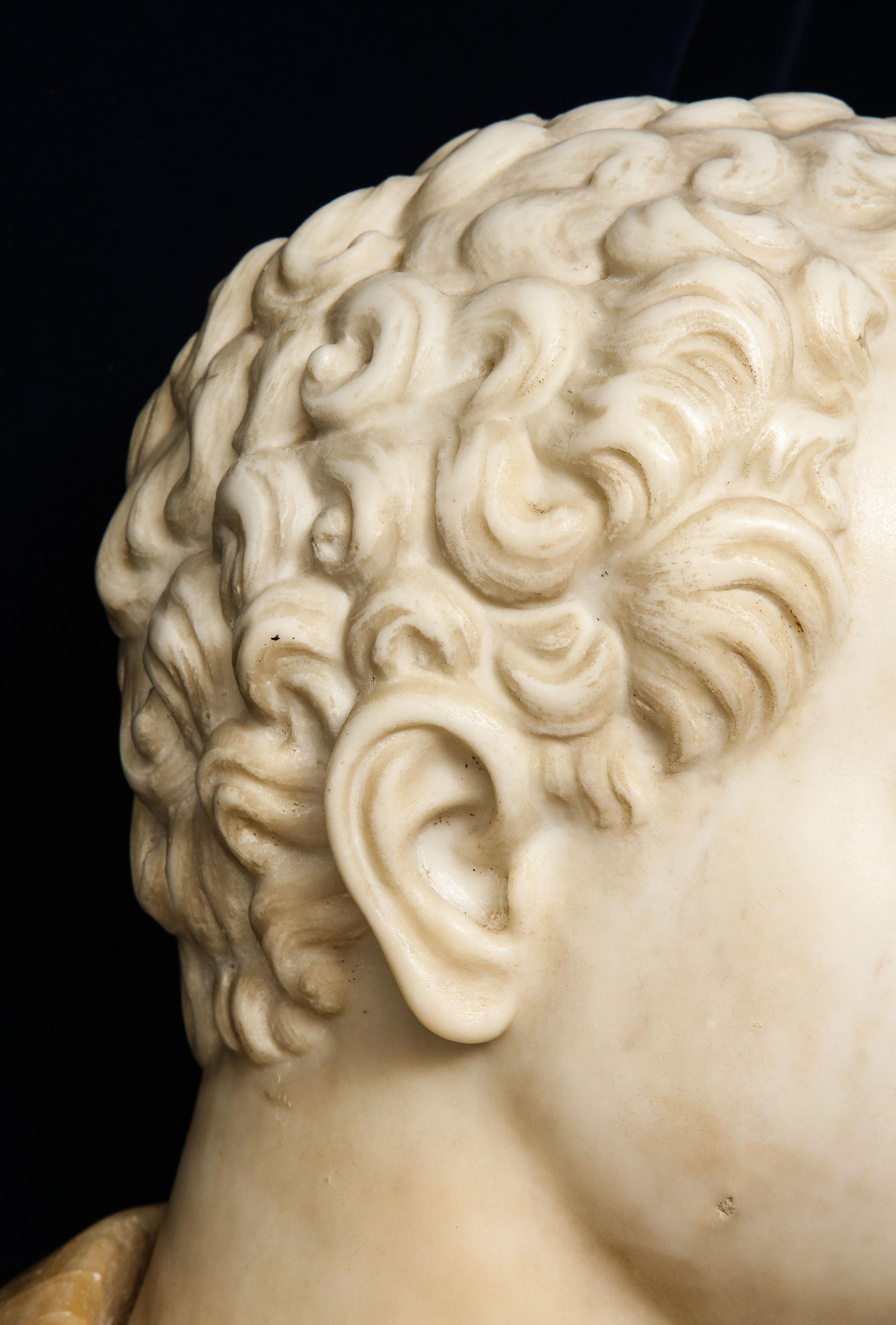 18th Century 18th-19th Century Neoclassical Multi-Marble Bust of Roman Emperor Titus Domitian For Sale
