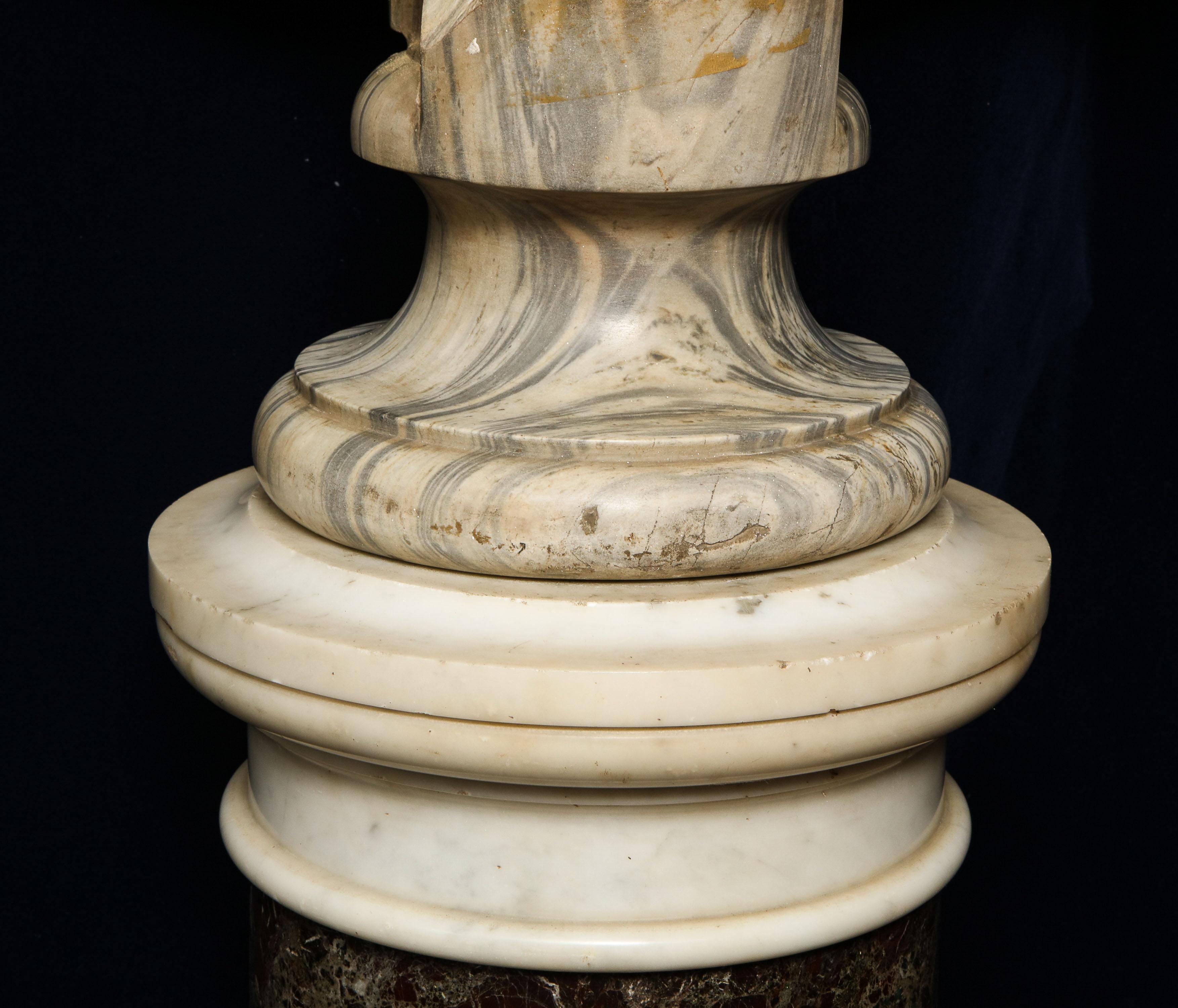 18th-19th Century Neoclassical Multi-Marble Bust of Roman Emperor Titus Domitian For Sale 5