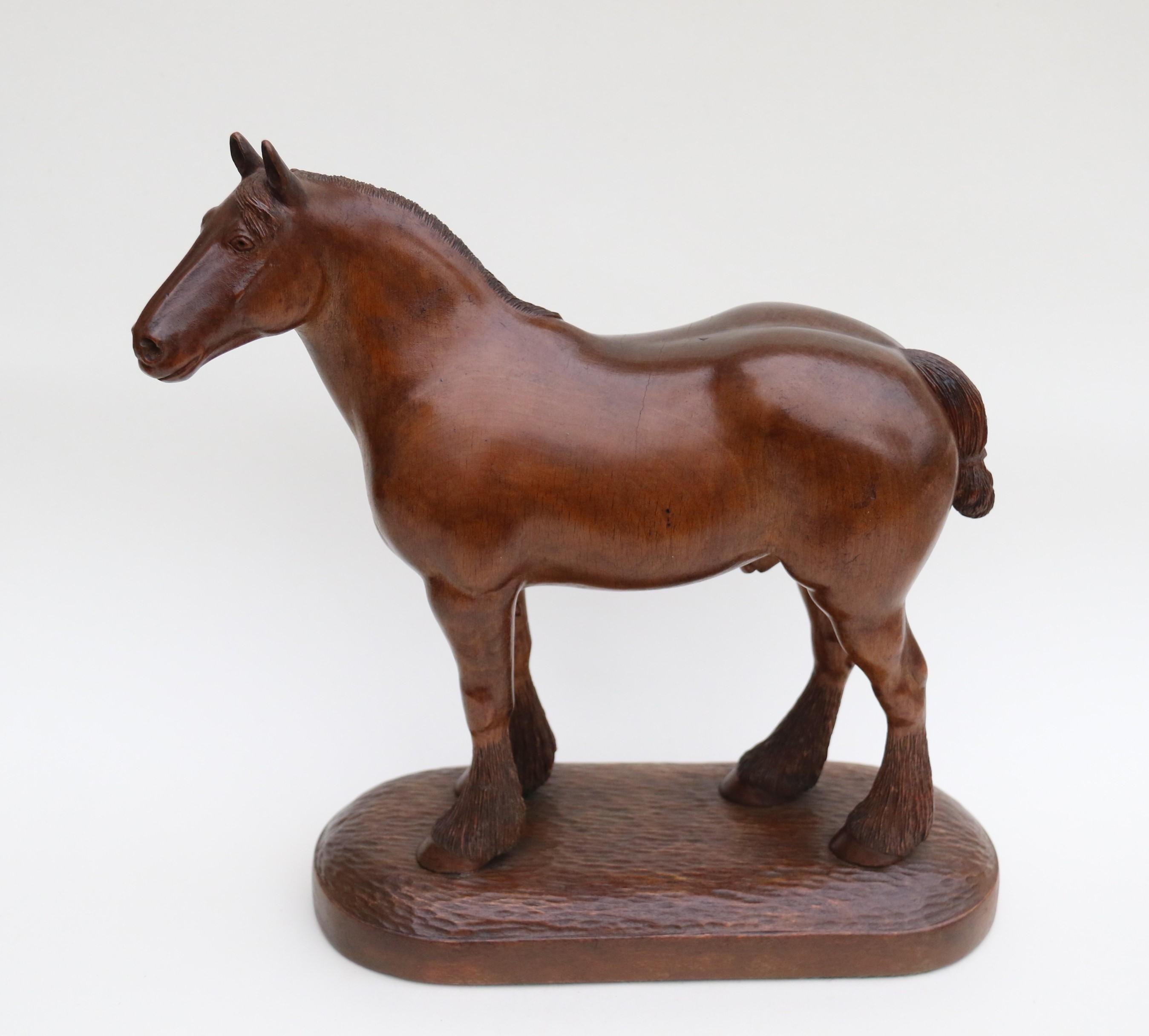 
This exquisitely carved study of a Belgian draught horse dates to circa 1930 and is hand carved in dense beech wood. It is a very detailed sculpture and the artist has captured this muscular heavy horse superbly. He is well groomed with a well