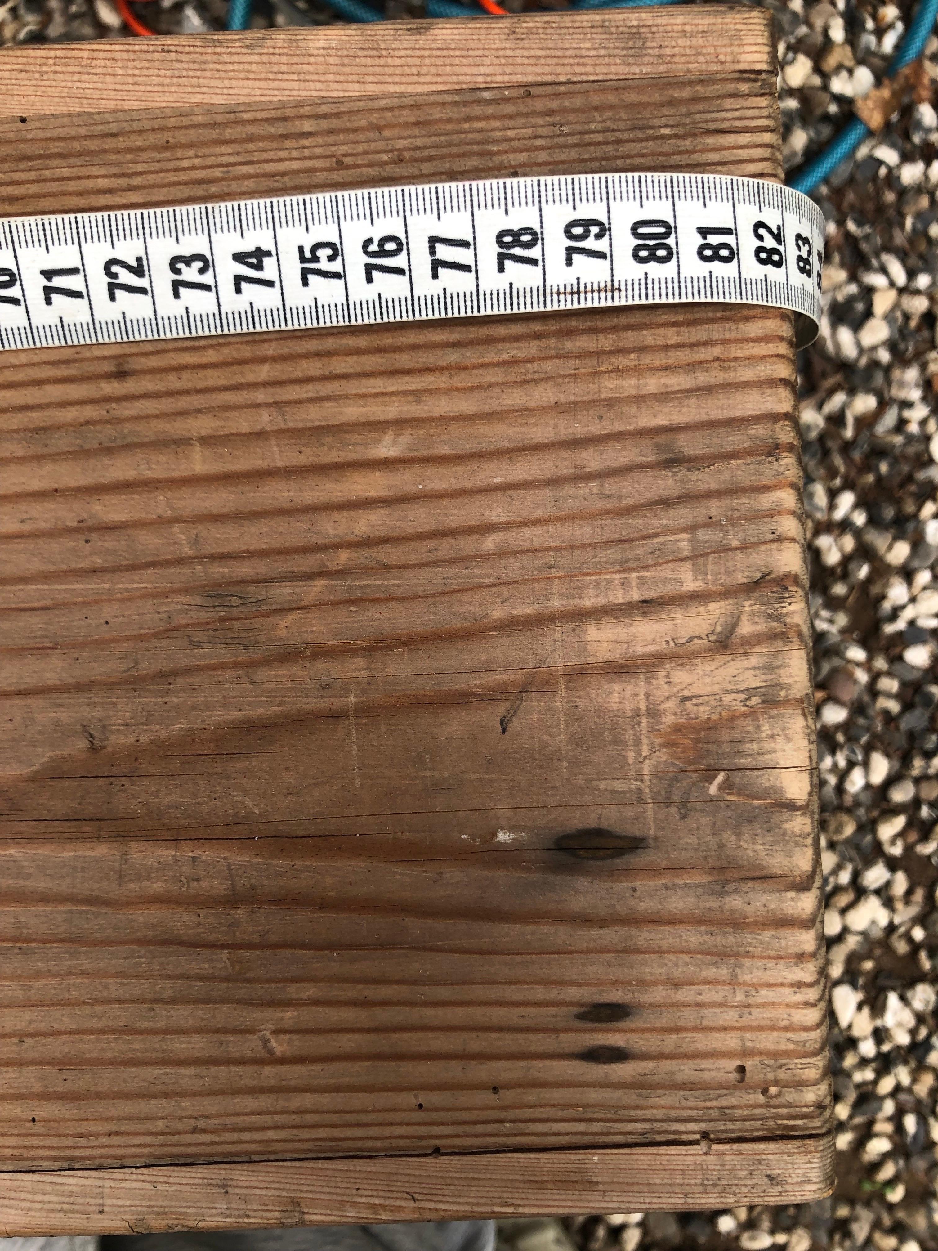 Pine A 1940ties long low wooden bench For Sale
