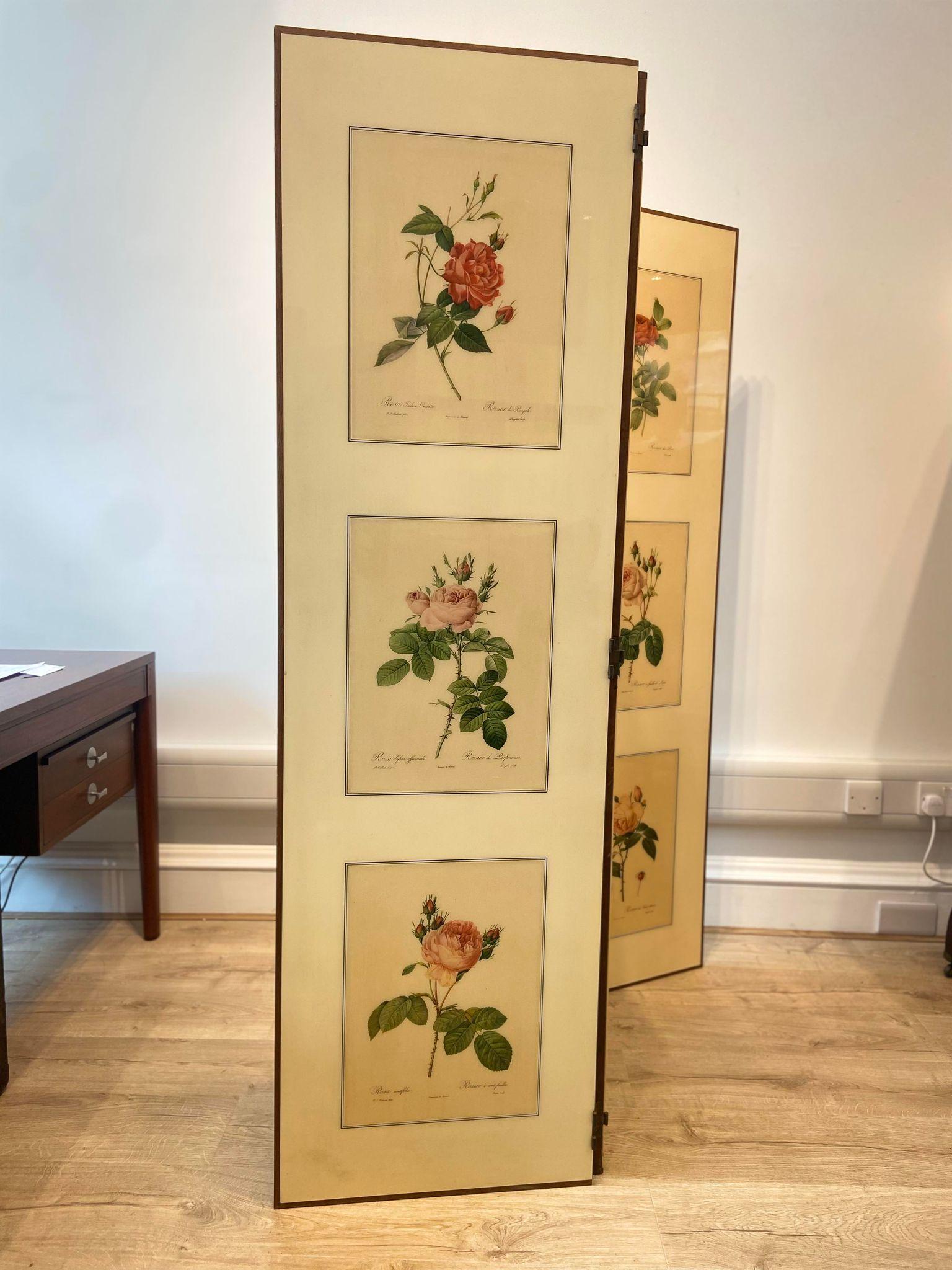 A 1950's 3 panel folding screen / room divider with Victorian botanical lithographs. 

Dimensions: 
Height: 170 cm 
Width: 50 cm per panel 
Depth: 2 cm 