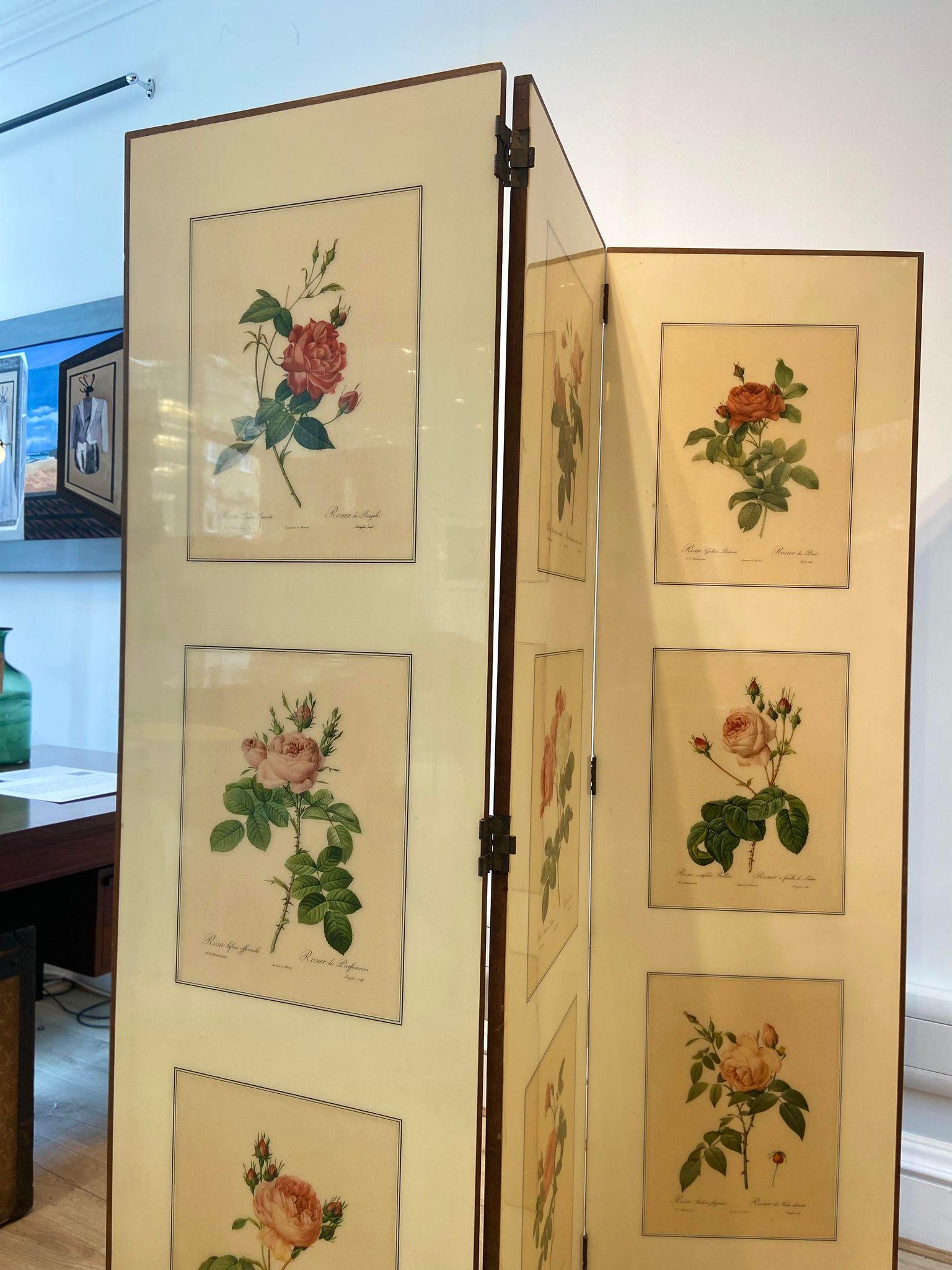20th Century A 1950's folding screen / room divider with Victorian botanical lithographs