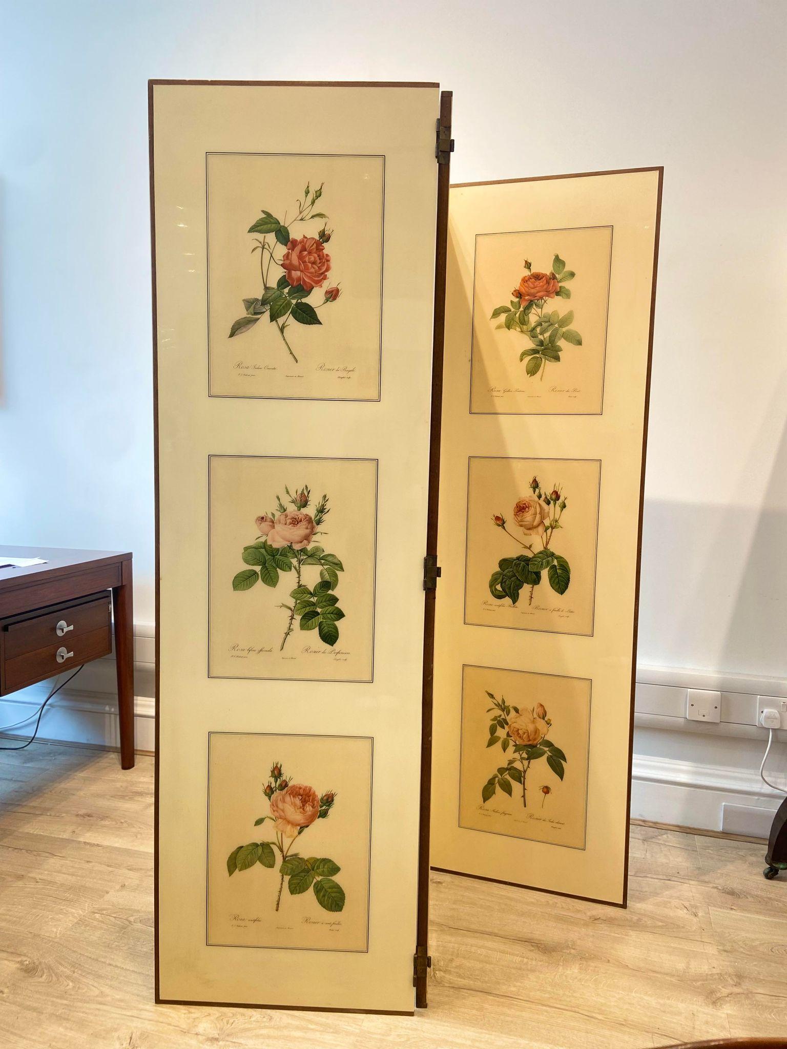 Mahogany A 1950's folding screen / room divider with Victorian botanical lithographs