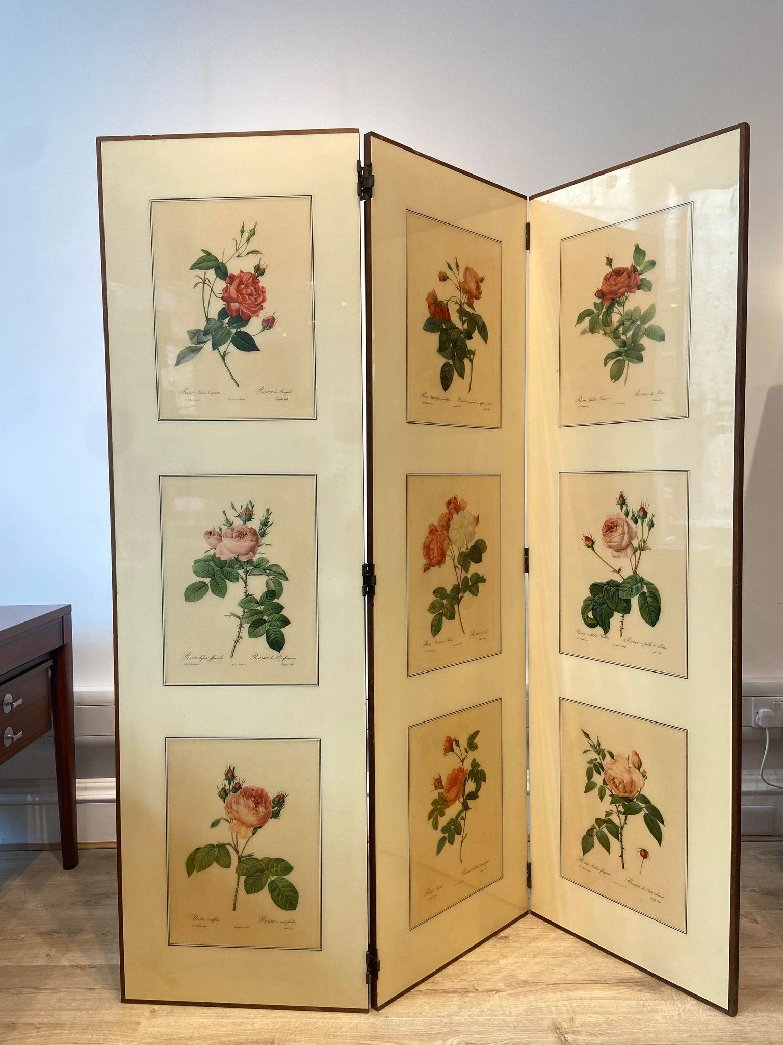 A 1950's folding screen / room divider with Victorian botanical lithographs 1