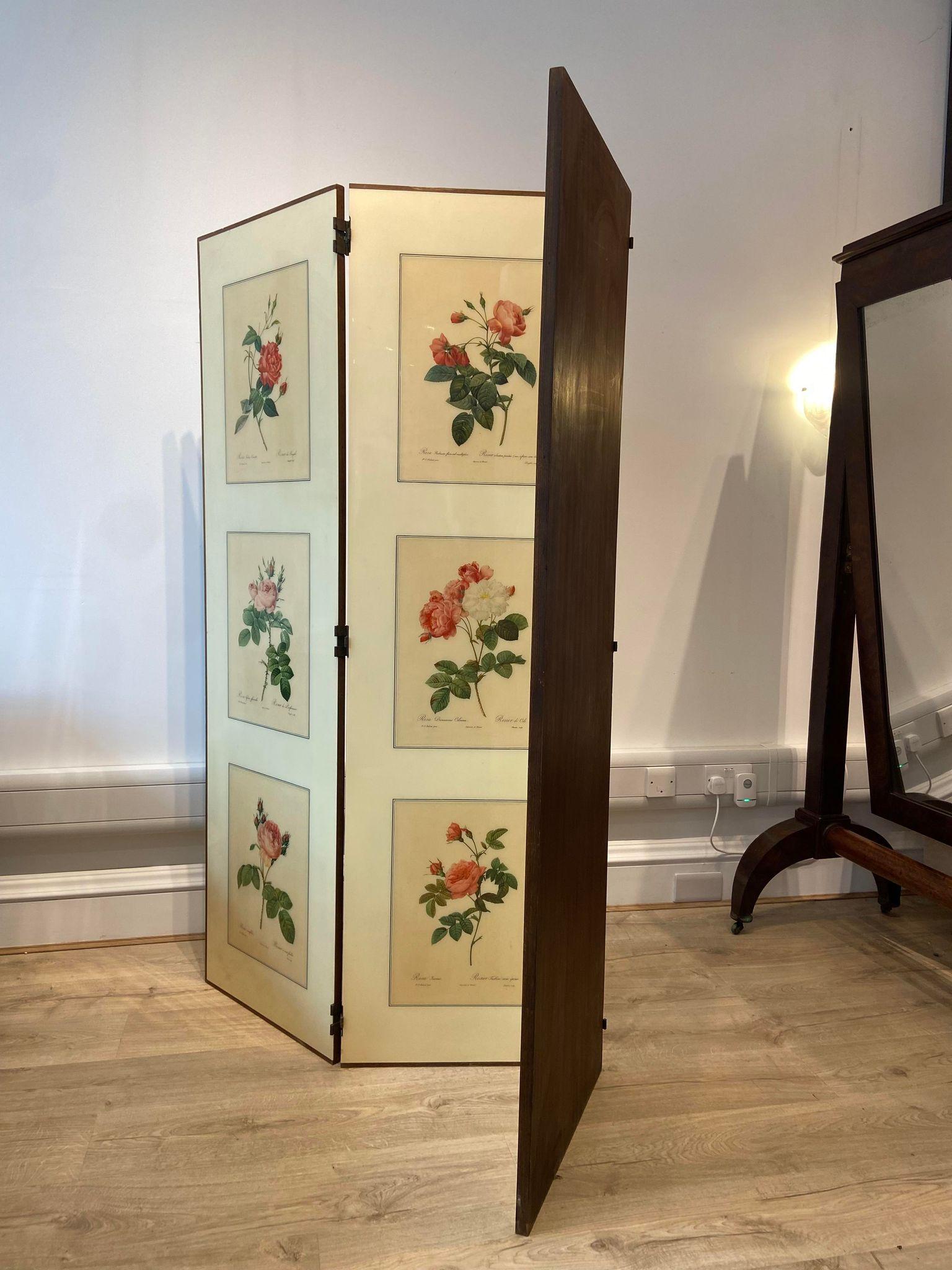 A 1950's folding screen / room divider with Victorian botanical lithographs 2