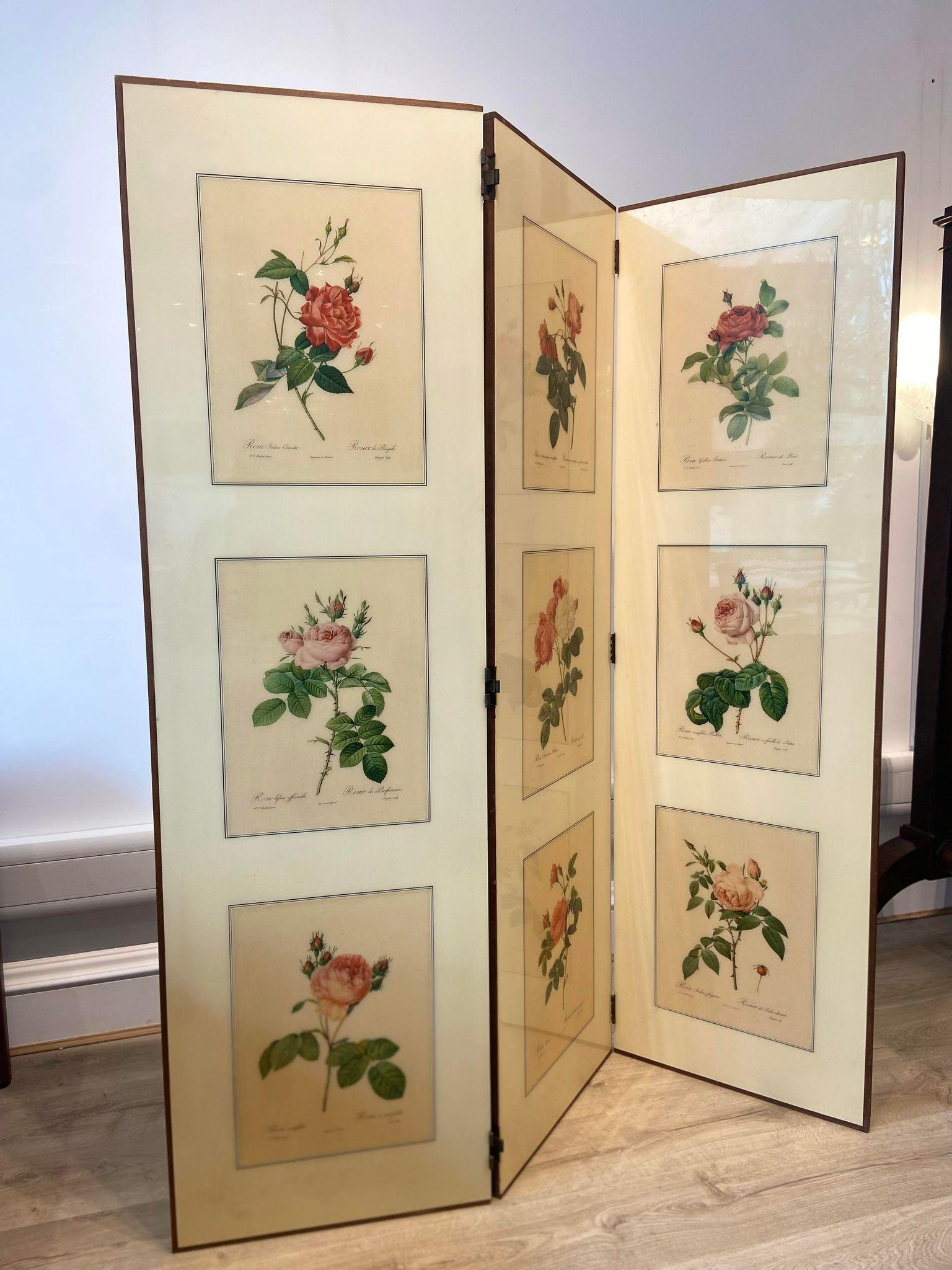 A 1950's folding screen / room divider with Victorian botanical lithographs 3