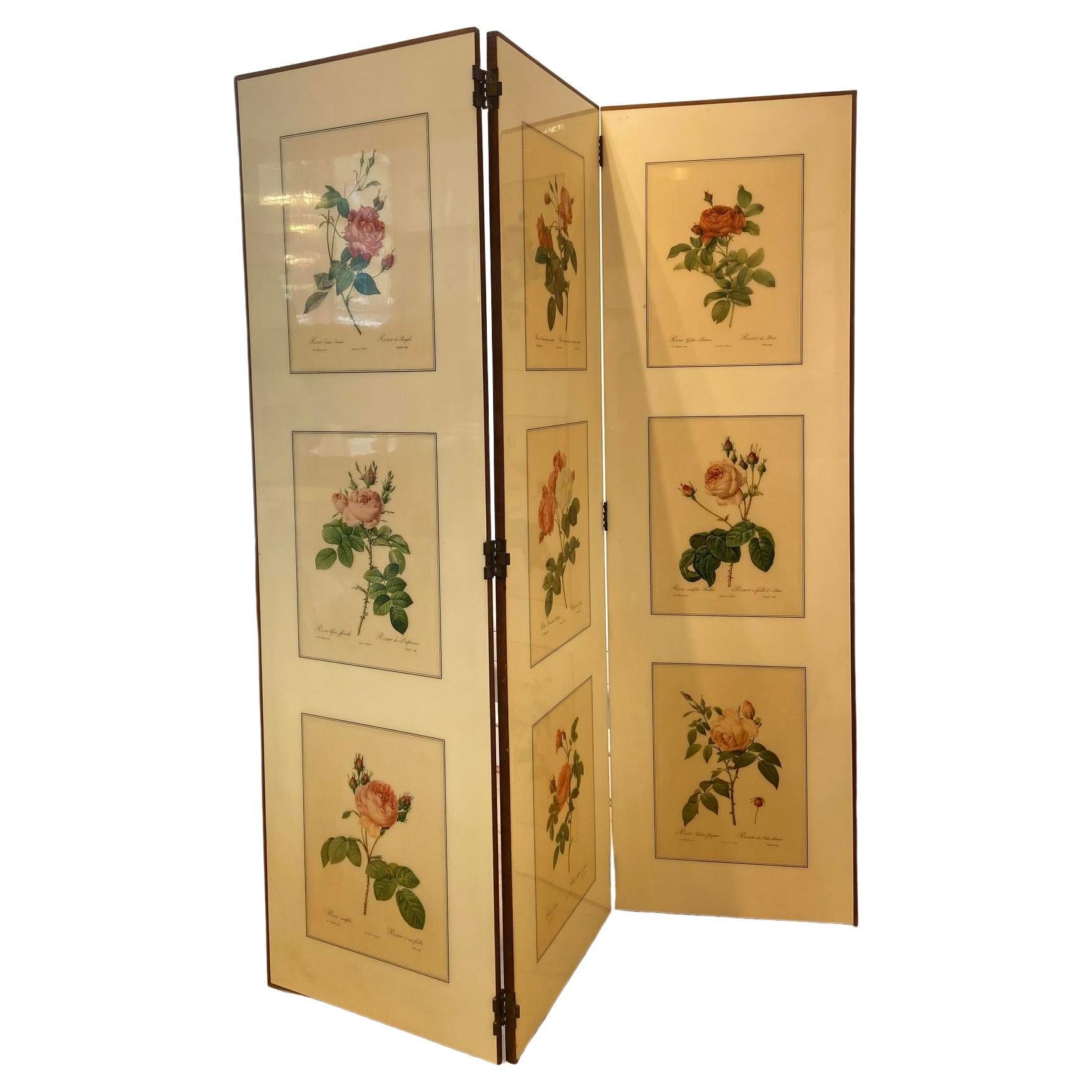 A 1950's folding screen / room divider with Victorian botanical lithographs