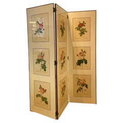 Used A 1950's folding screen / room divider with Victorian botanical lithographs