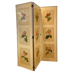 A 1950's folding screen / room divider with Victorian botanical lithographs