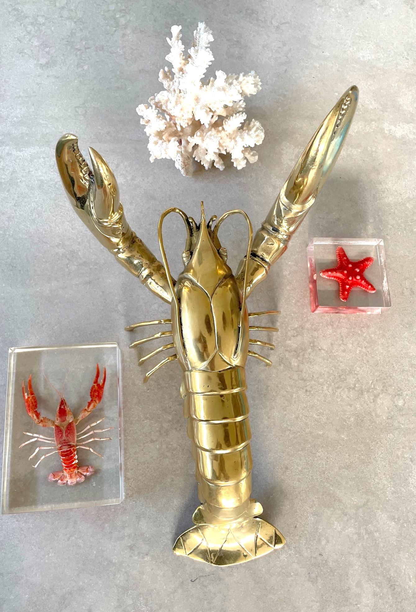 A 1960s life-size solid brass lobster sculpture with exquisite detail.