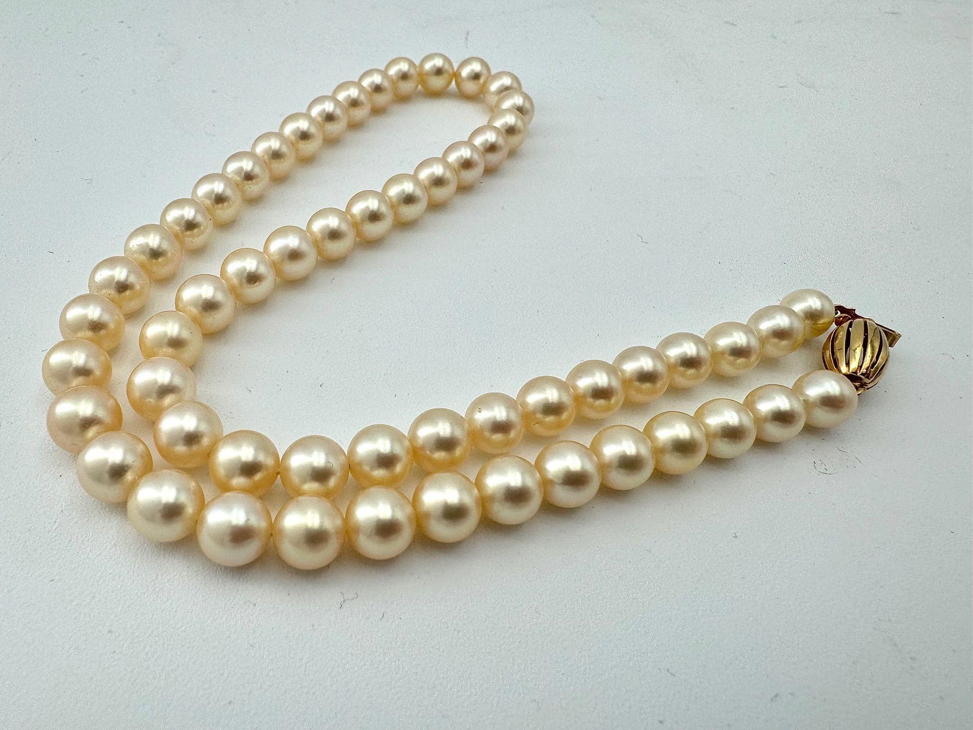 A 1980s Mappin and Webb Akoya pearl necklace with 18 carat gold clasp For Sale 13
