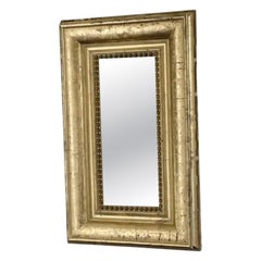 A 19th C Etched Giltwood Moulded Frame Rectangular Italian Mirror
