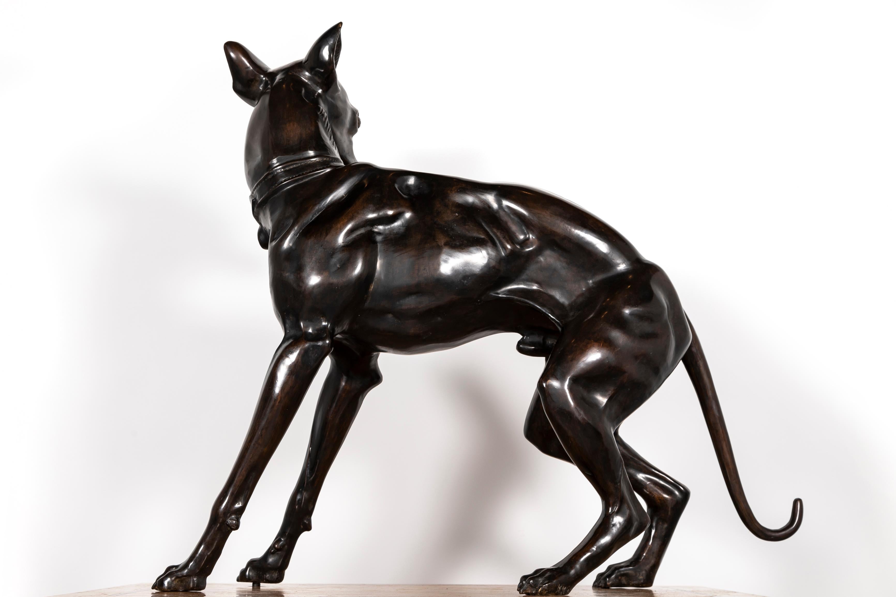 Paire de chiens de lévrier en bronze patiné du 19e siècle sur socles en marbre à gradins en vente 2