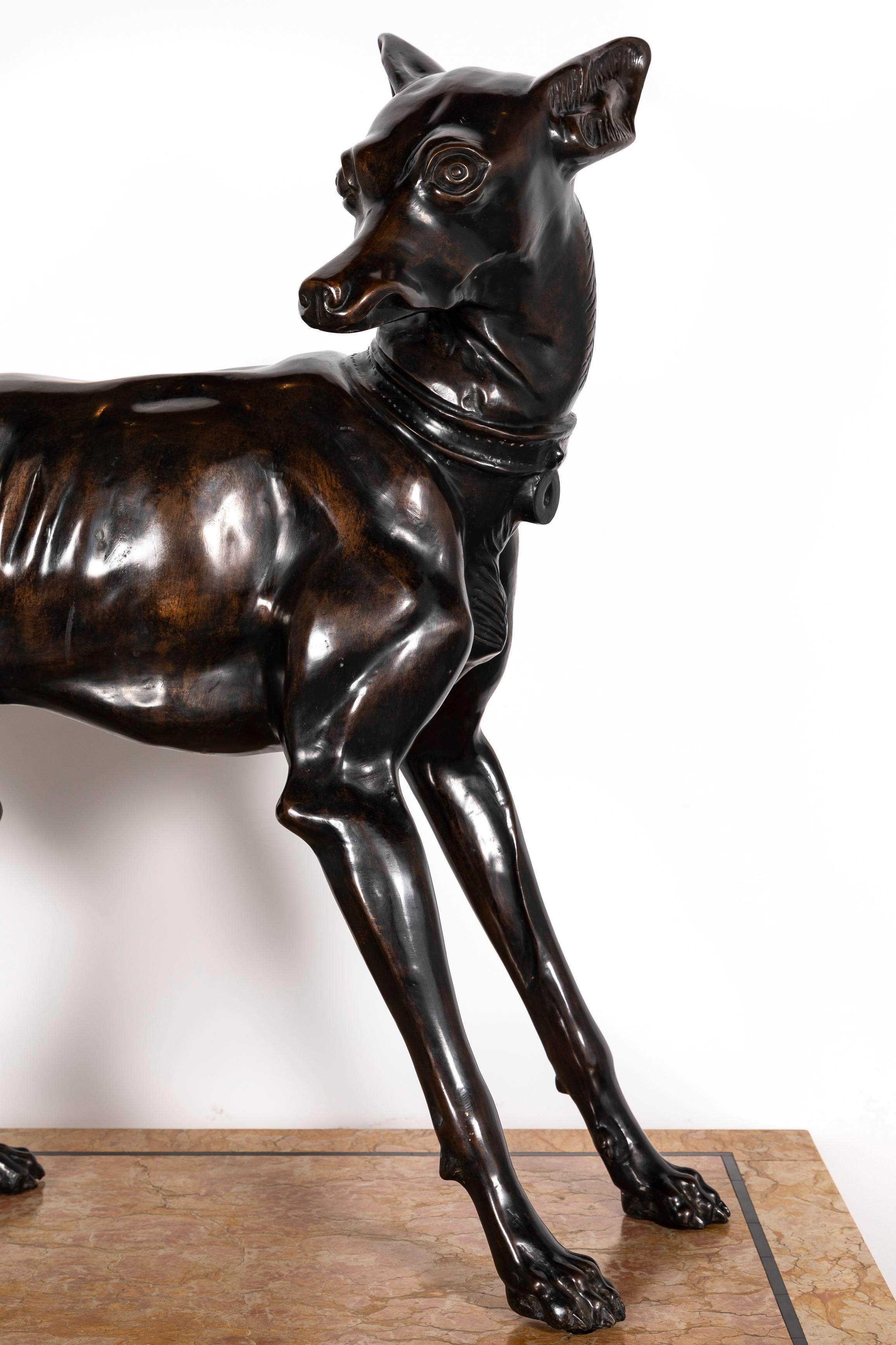 Paire de chiens de lévrier en bronze patiné du 19e siècle sur socles en marbre à gradins en vente 6