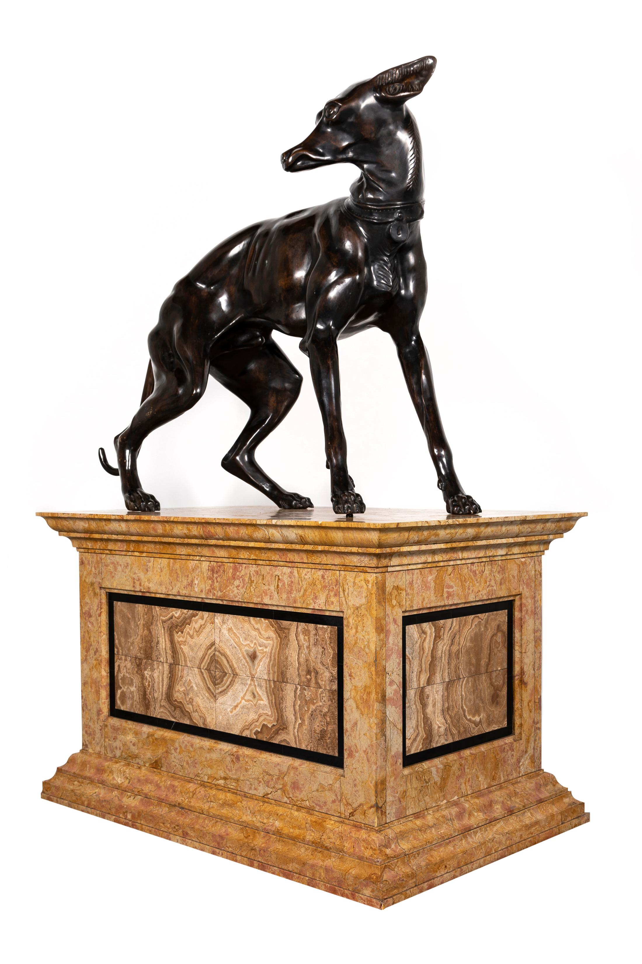 Paire monumentale et grandeur nature de chiens lévriers en bronze patiné sur des socles en marbre du XIXe siècle.  Chaque chien est représenté de manière naturaliste sur une paire de socles en marbre italien multi-spécimen, sculptés et polis à la