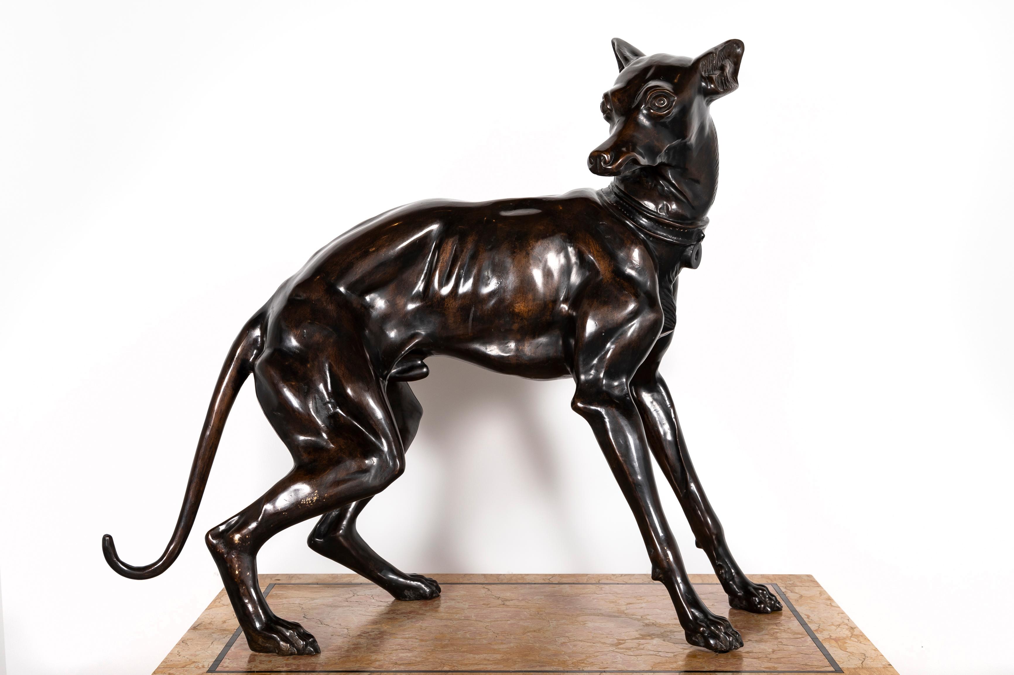 Bronze Paire de chiens de lévrier en bronze patiné du 19e siècle sur socles en marbre à gradins en vente
