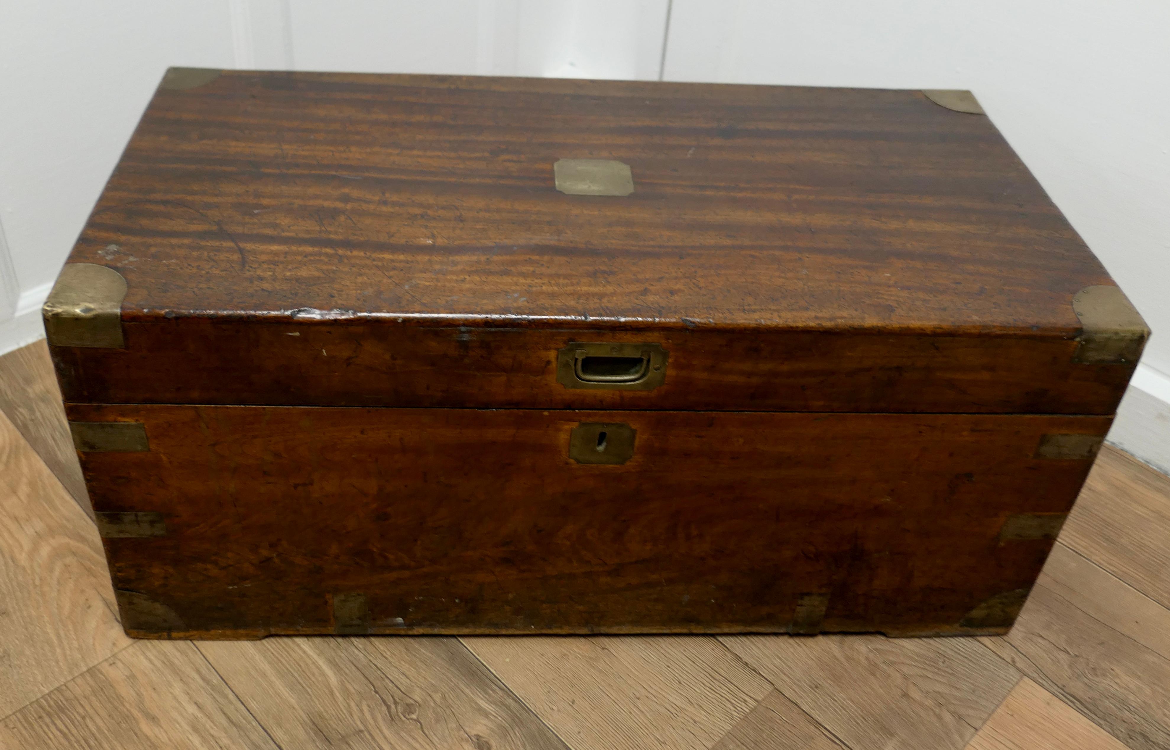 Early Victorian 19th Century Camphor Wood Campaign Chest