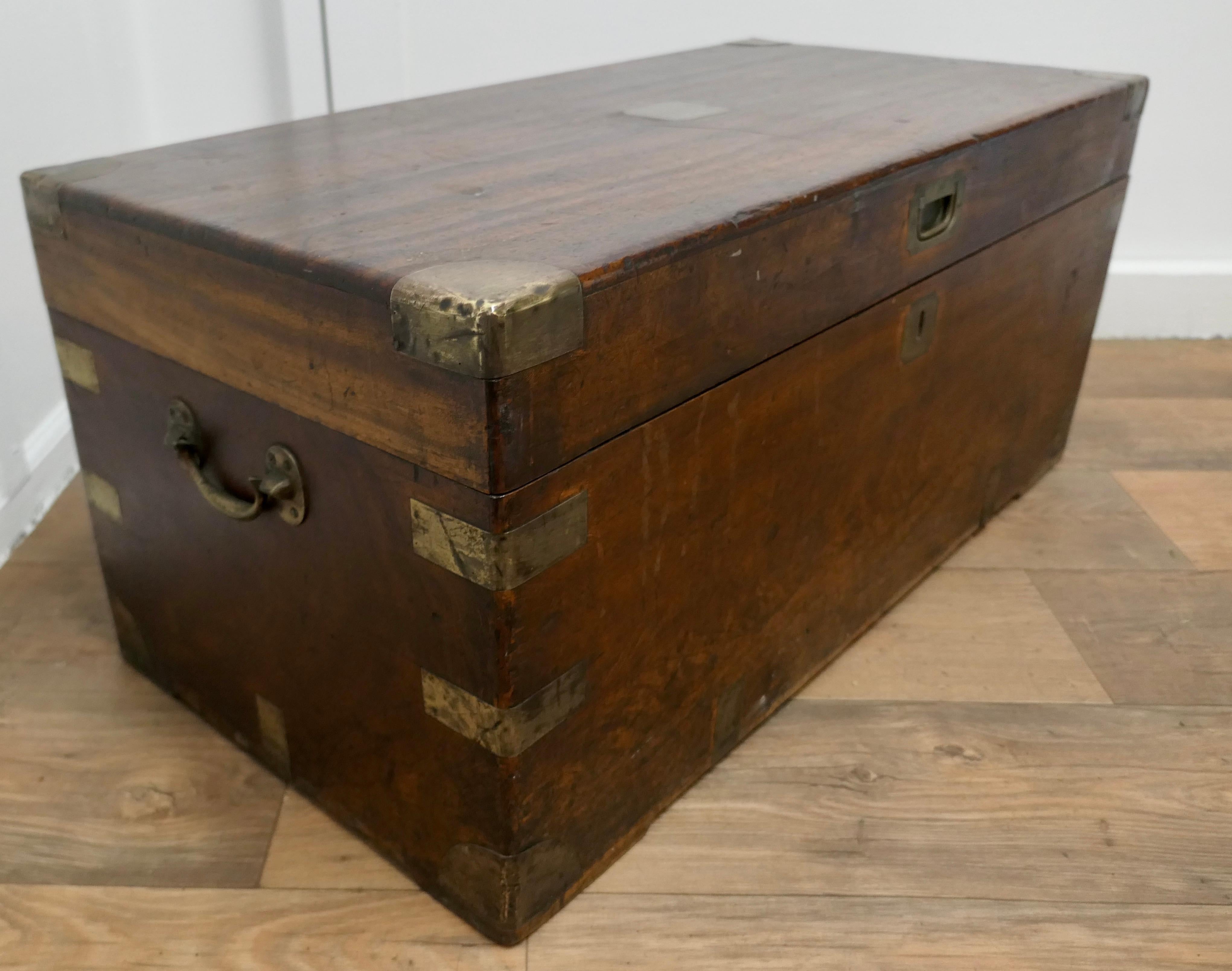 19th Century Camphor Wood Campaign Chest In Good Condition In Chillerton, Isle of Wight
