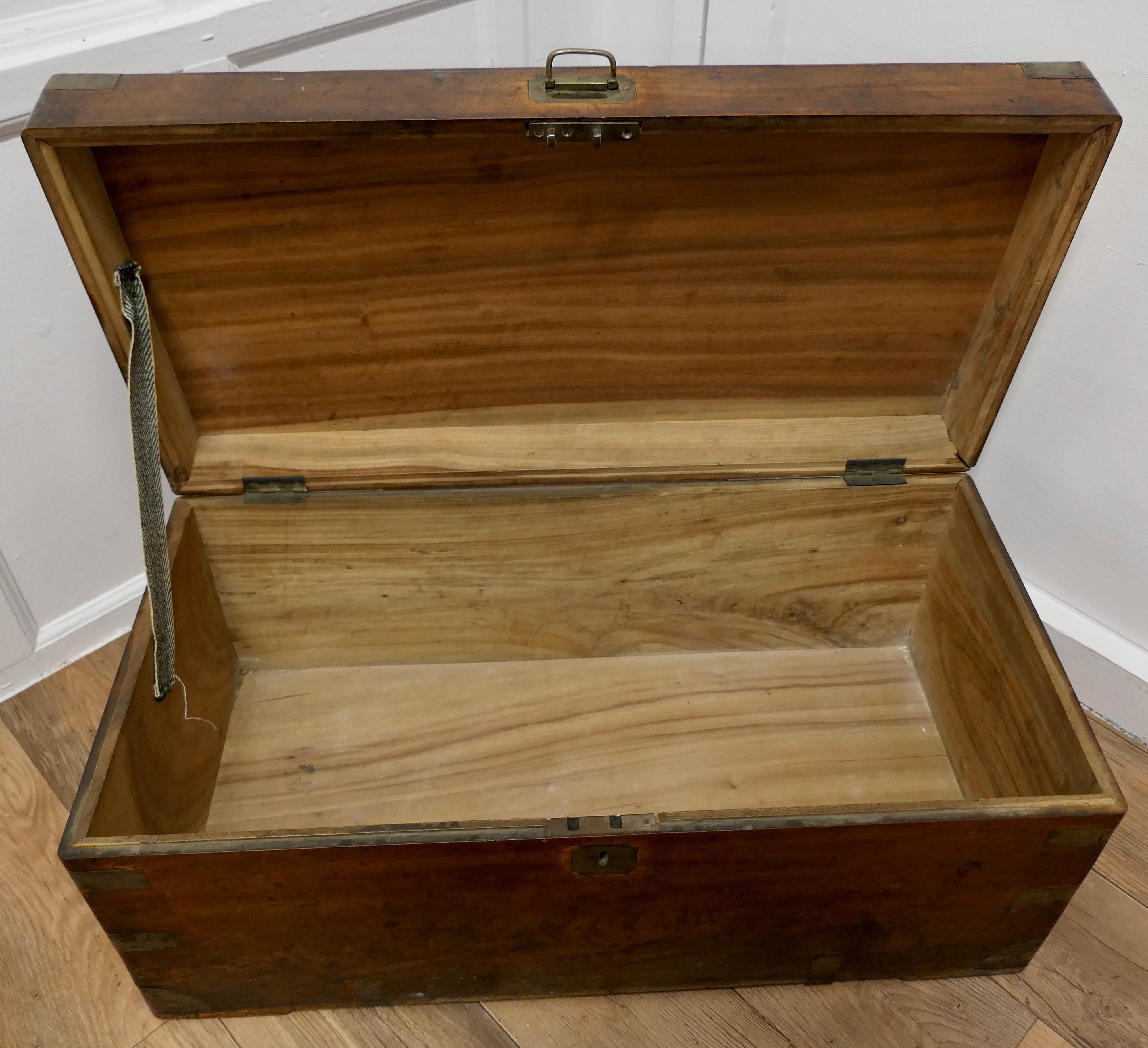 Mid-19th Century 19th Century Camphor Wood Campaign Chest