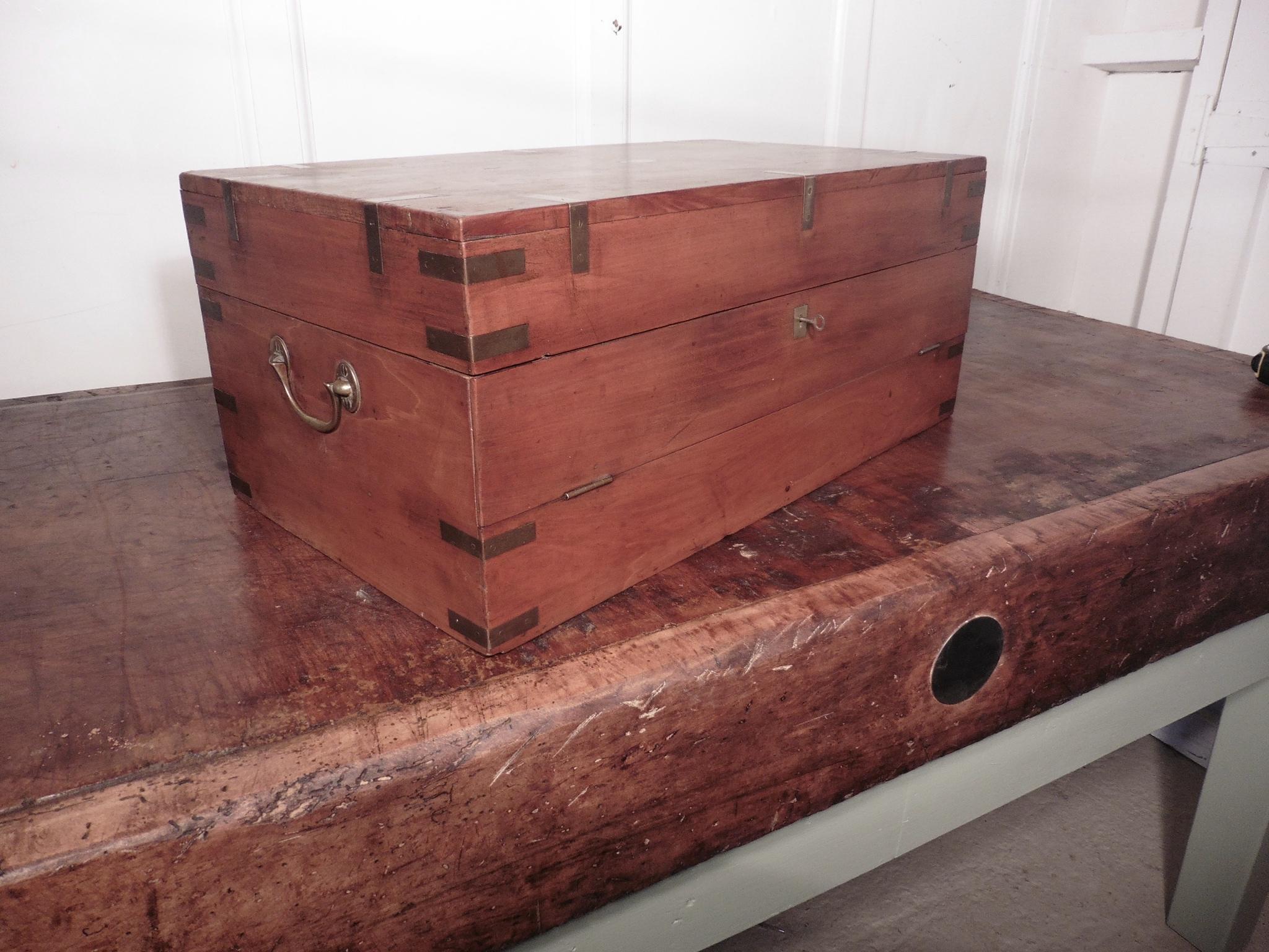 Late 19th Century 19th Century Camphor Wood Campaign Chest For Sale