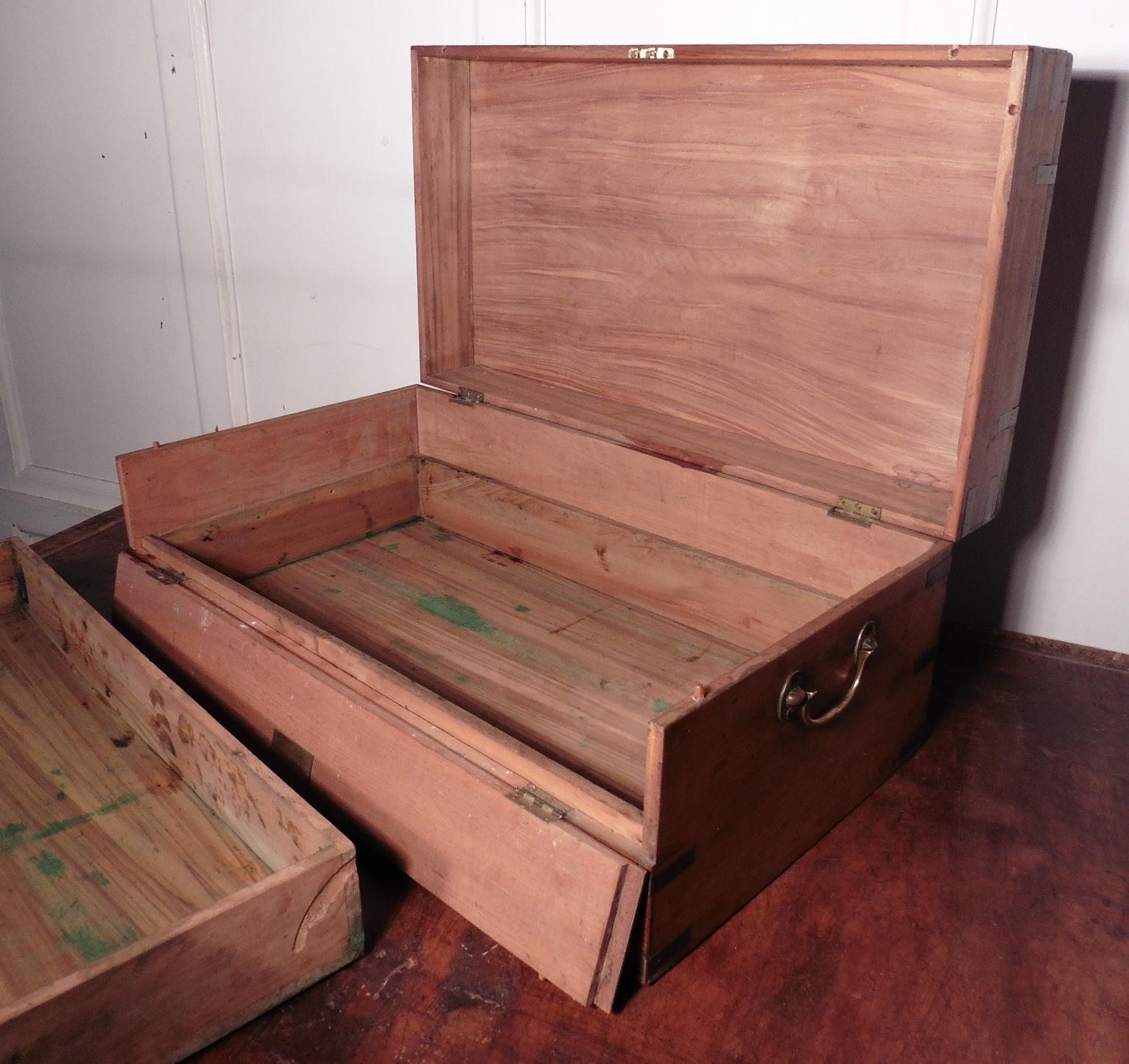 19th Century Camphor Wood Campaign Chest For Sale 2