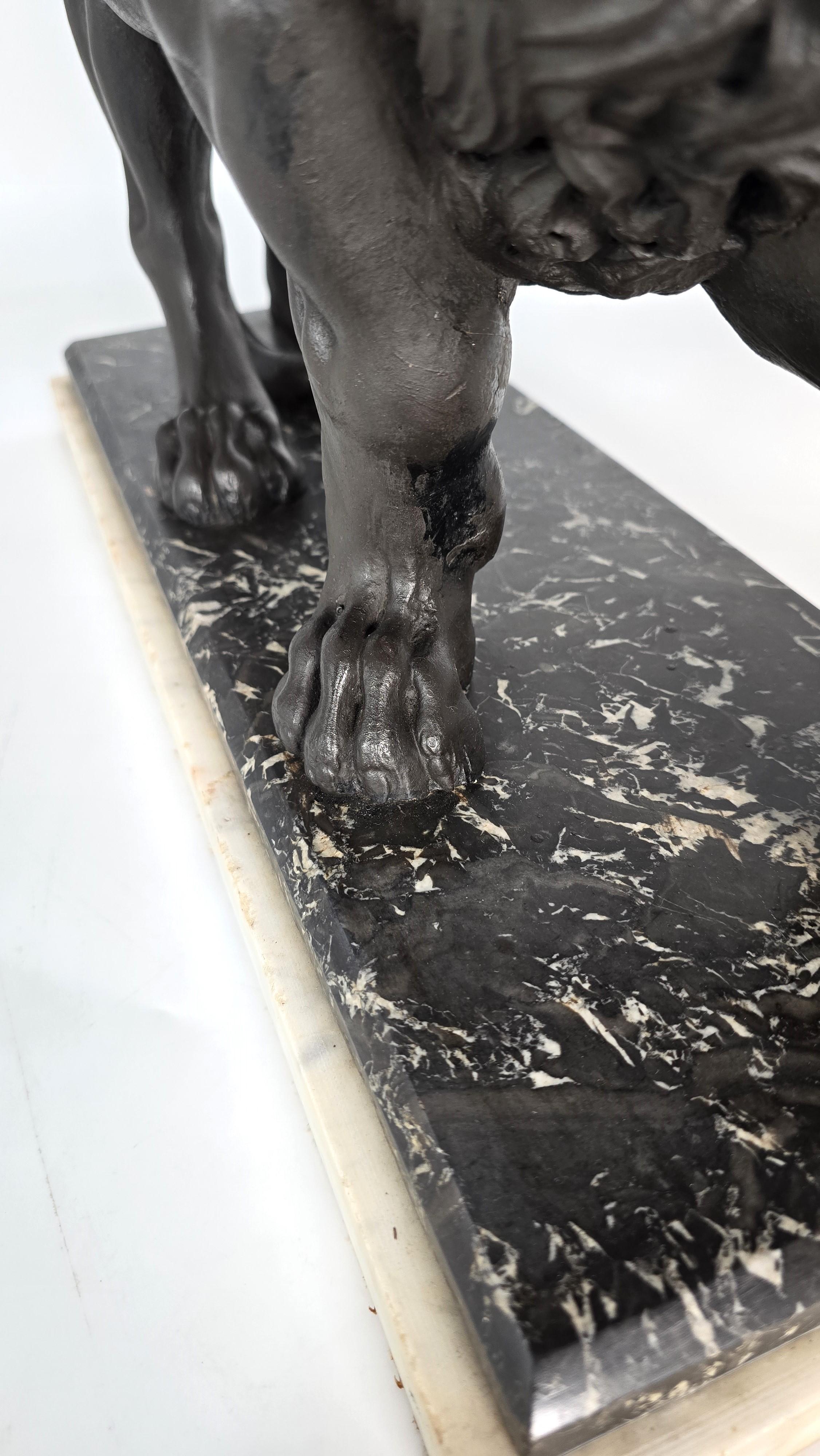 Sculpture classique du XIXe siècle représentant un lion de Médicis, anglaise vers 1850 en vente 10