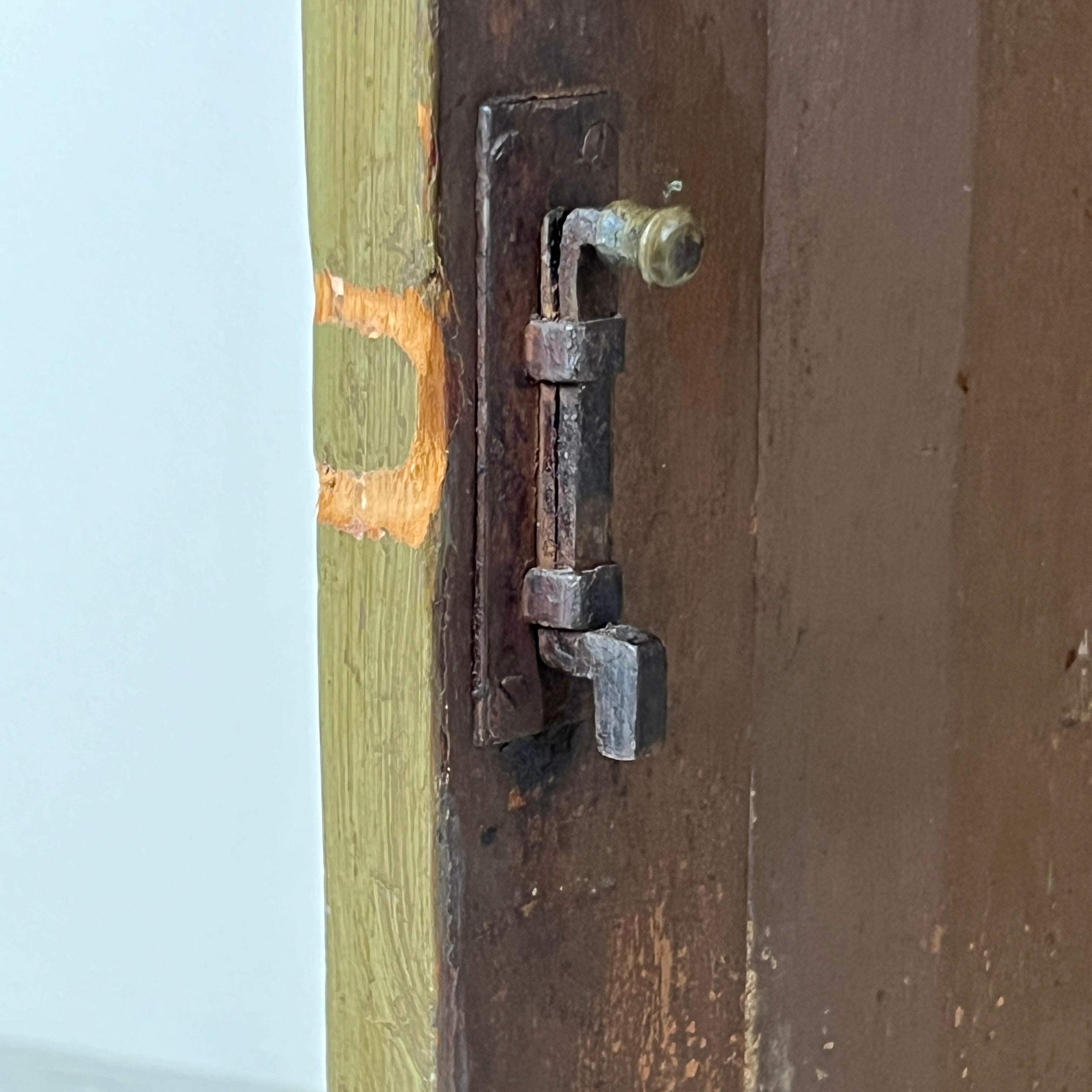 Kontinentaler bemalter Schrank oder Larder aus dem 19. Jahrhundert im Angebot 7