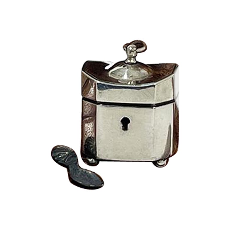 Caja de té de plata en miniatura de una casa de muñecas holandesa del siglo XIX