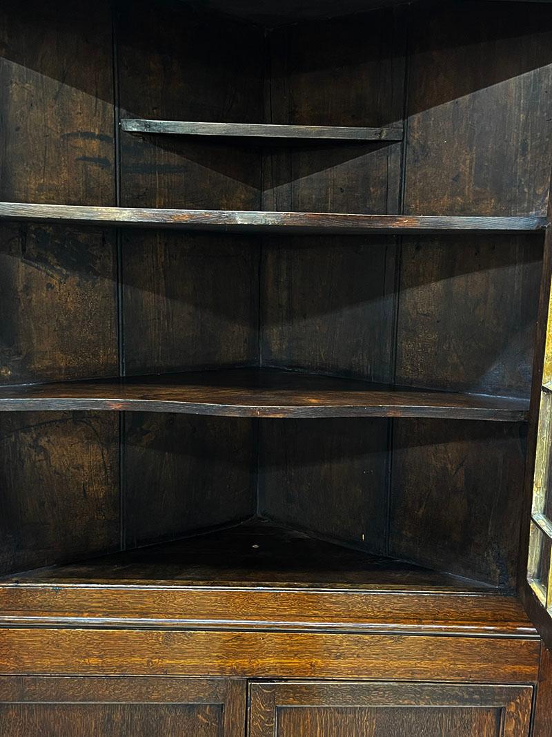 19th Century Dutch Oak Display Corner Cabinet For Sale 1