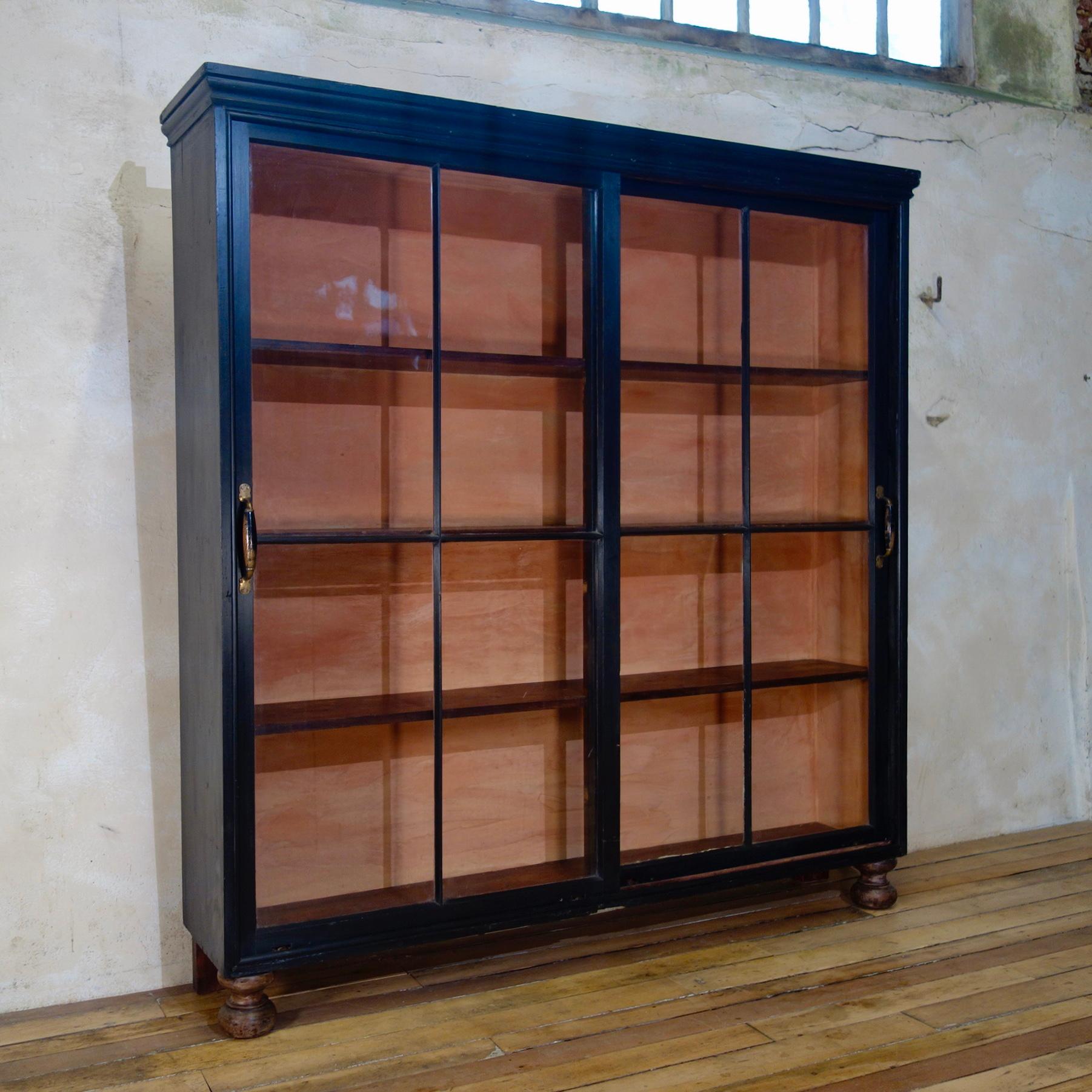 19th Century Ebonized Glazed Sliding Door Apothecary Cabinet, Kitchen Painted In Good Condition In Basingstoke, Hampshire