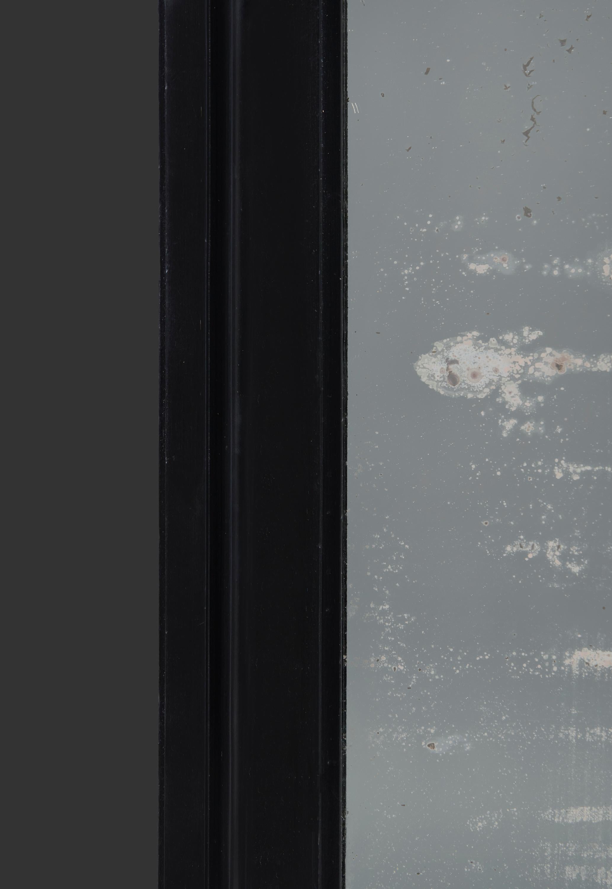 Wood A 19th Century French Ebonised Mirror For Sale
