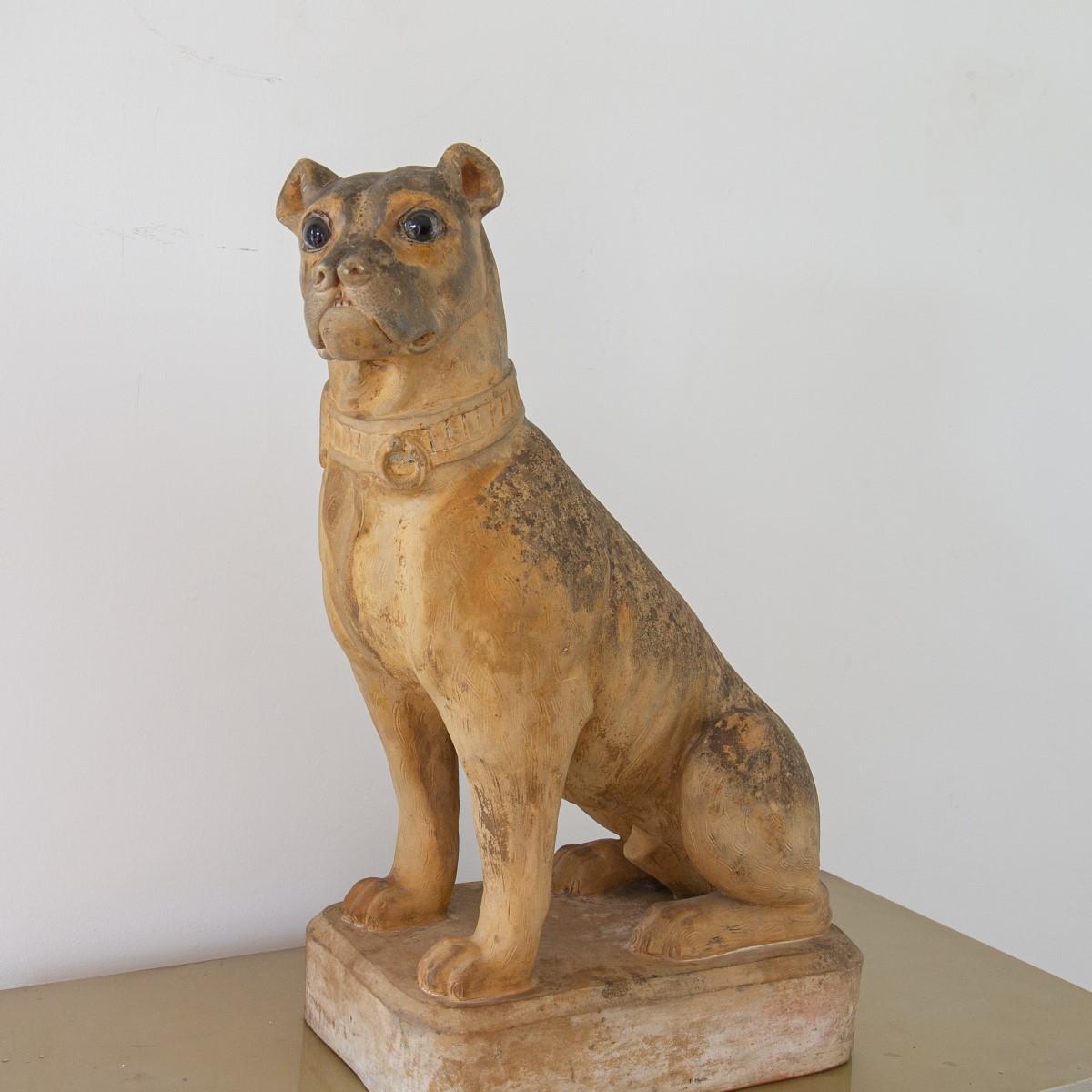19th Century French Terracotta Model of a Pug, Stamped 11