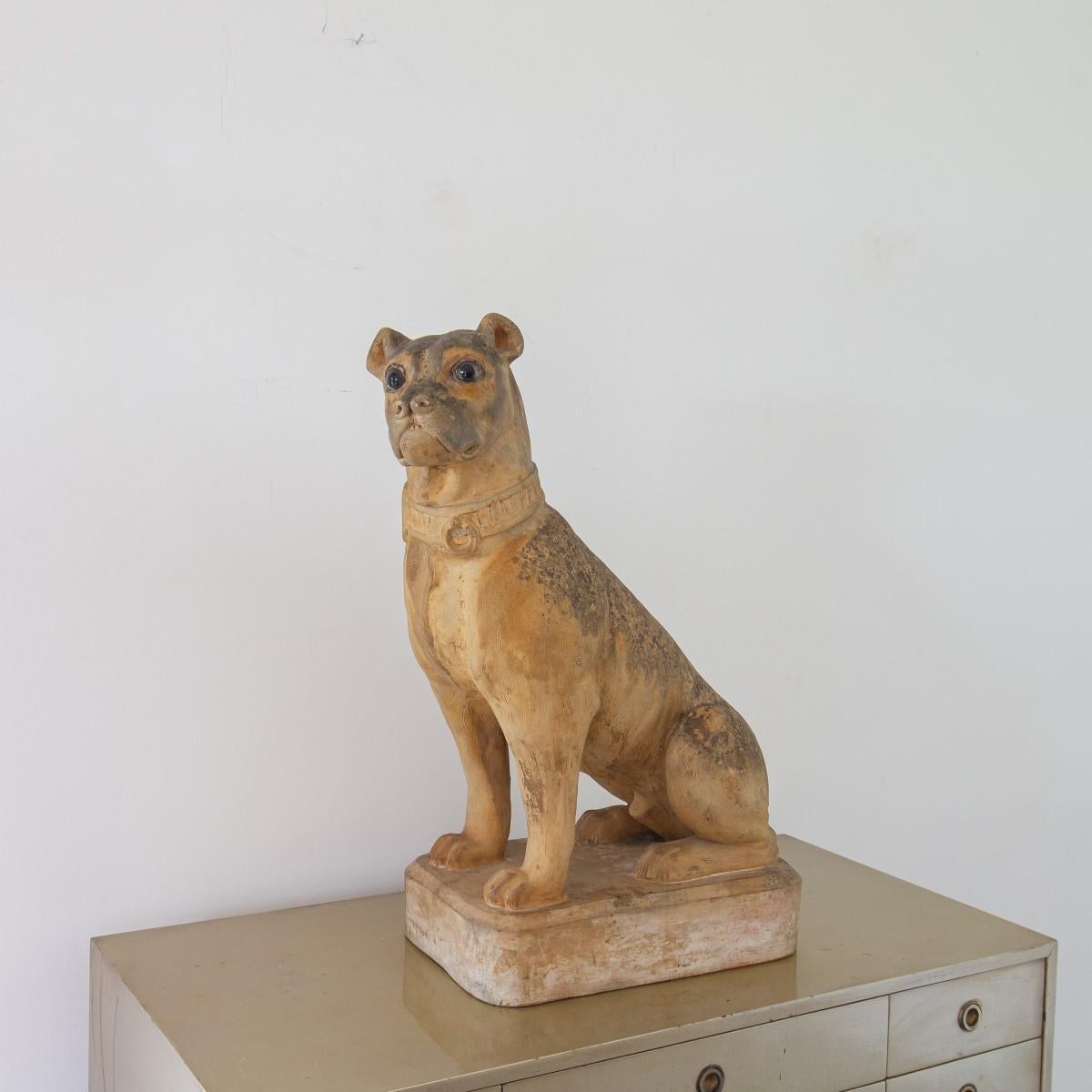 A 19th century French terracotta model of a Pug with glass eyes, hand crafted by the atelier, Jean Garouste of Castelnaudary, France, stamped. 

This terracotta pug is of great proportions and has taken on a lovely weathered patina to the head and