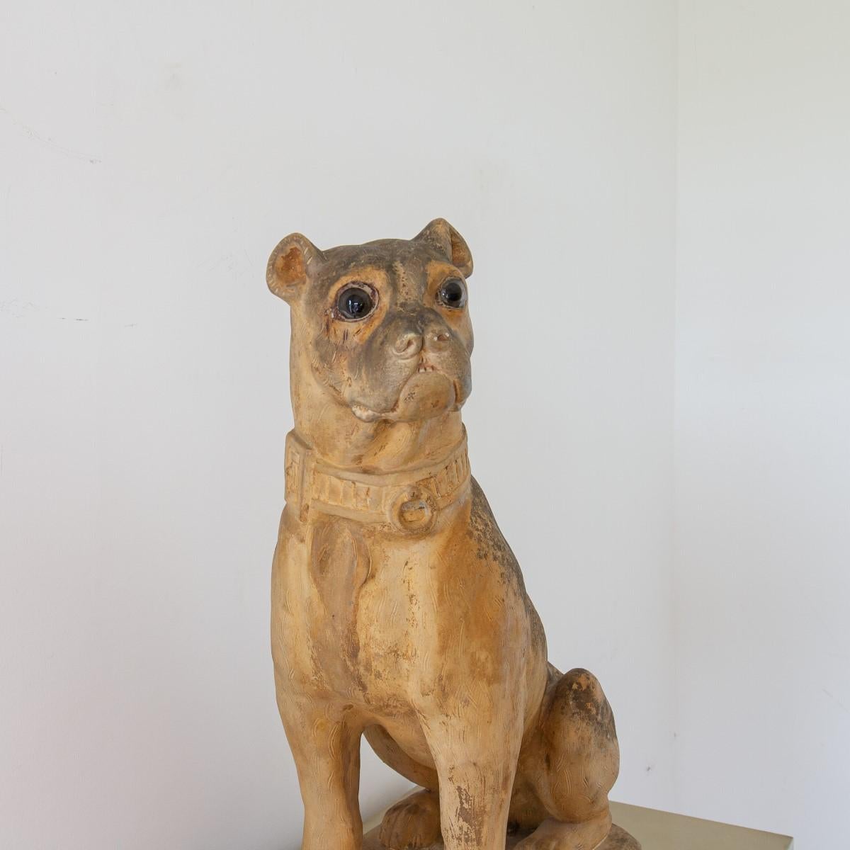 19th Century French Terracotta Model of a Pug, Stamped In Good Condition In Donhead St Mary, Wiltshire