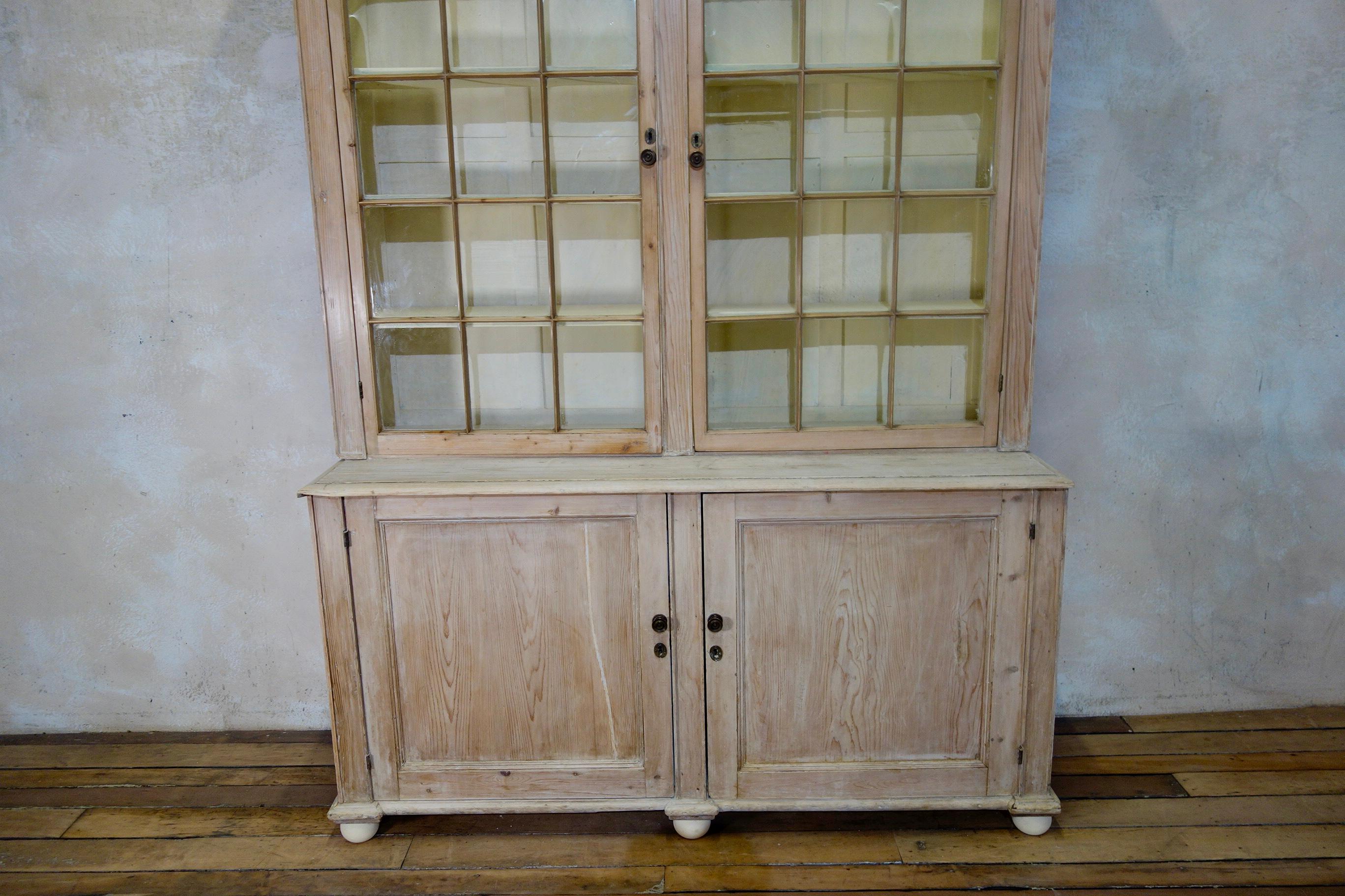 19th Century Gothic Bleached Pine Cabinet, Bookcase 8