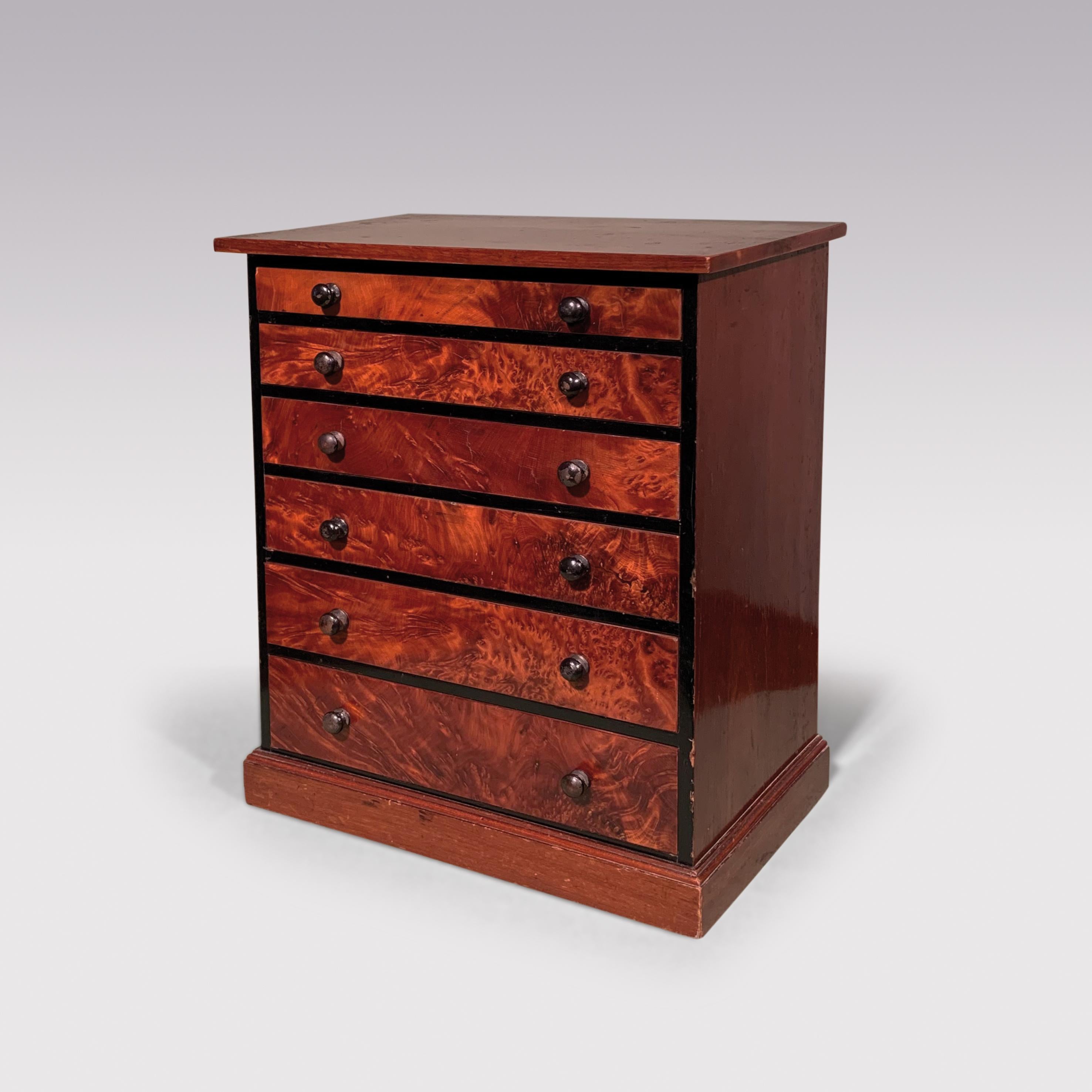 A 19th century flame figured mahogany Collector’s cabinet, having 6 drawers with ebony handles & drawer divisions, the partitions containing specimen shells of all shapes & sizes.